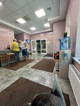 ZooVita (Karla Marksa Avenue, 1Б), veterinary clinic