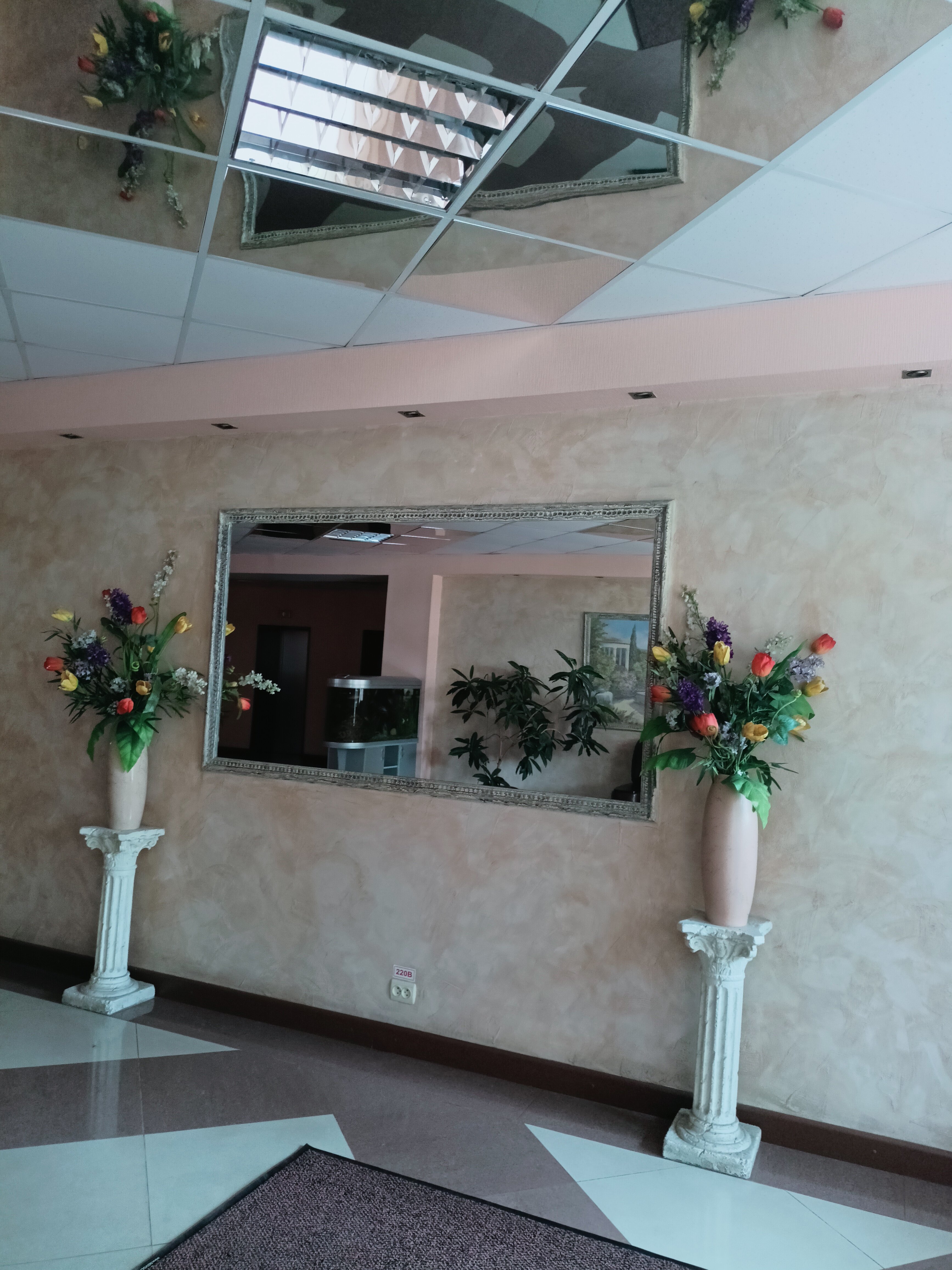 Фото Аврора