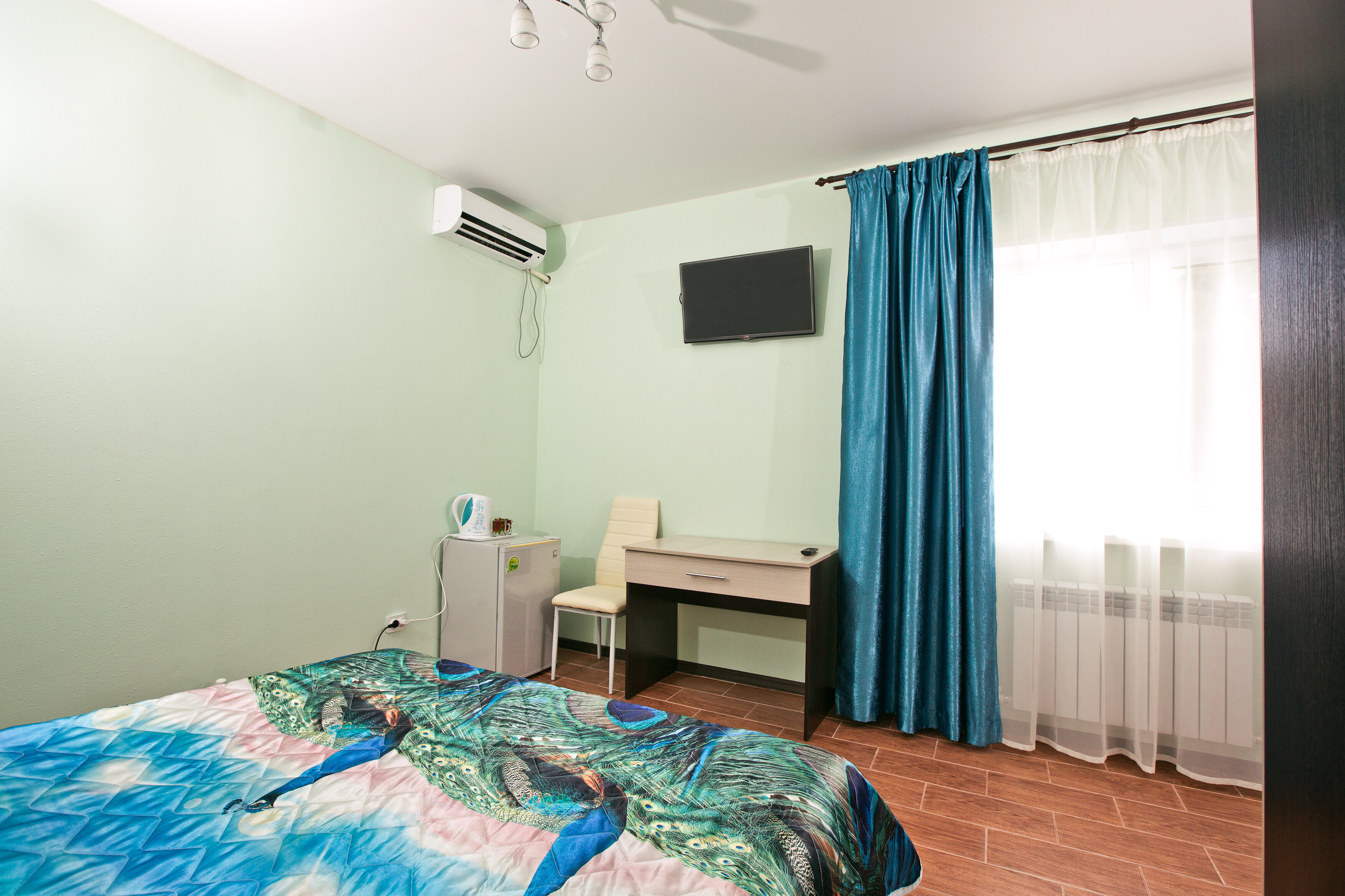 Фото Альбатрос