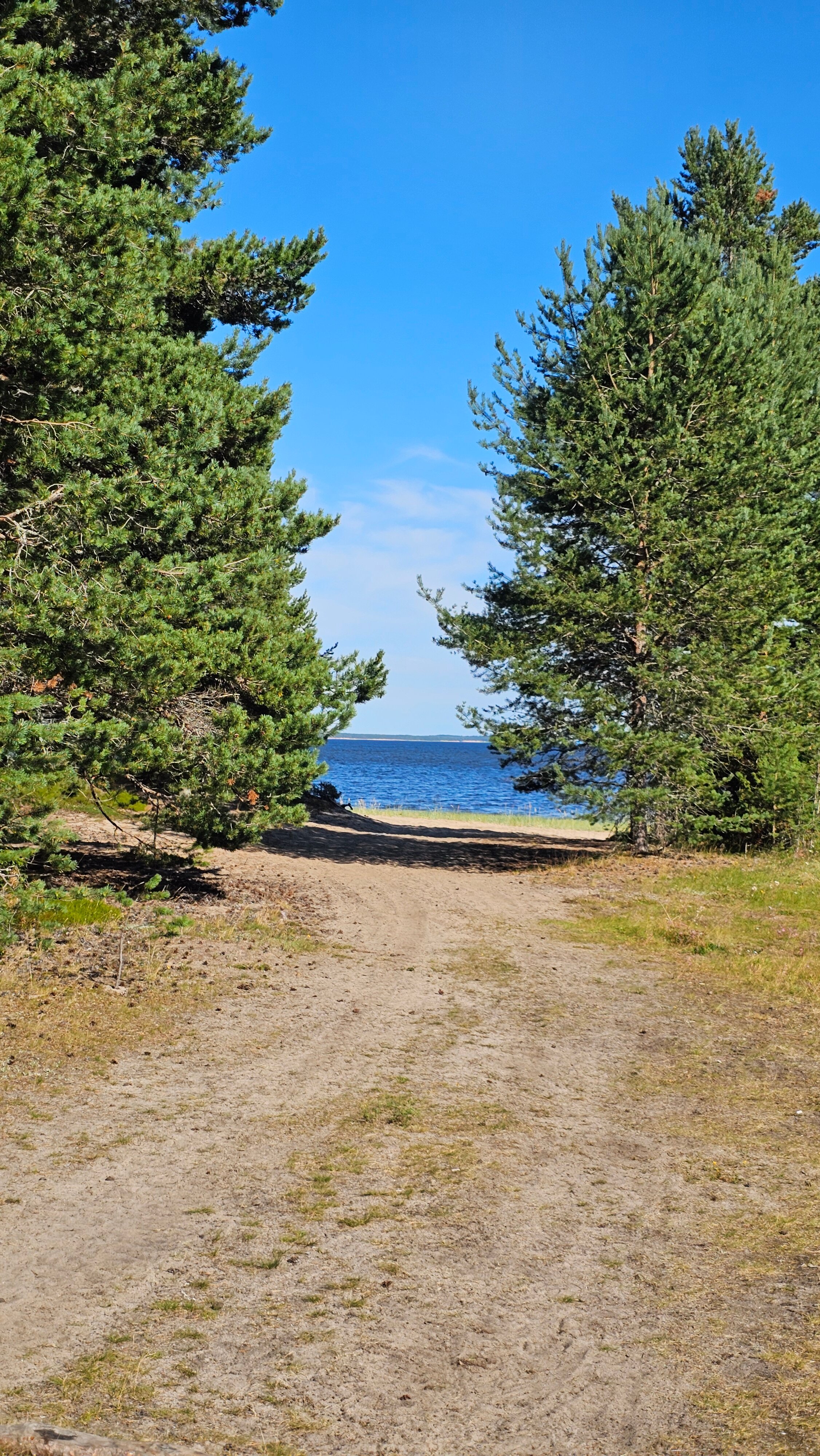 Фото Белый кит