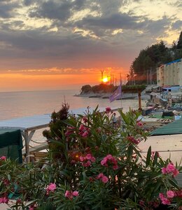 Эллинг Валенсия 75