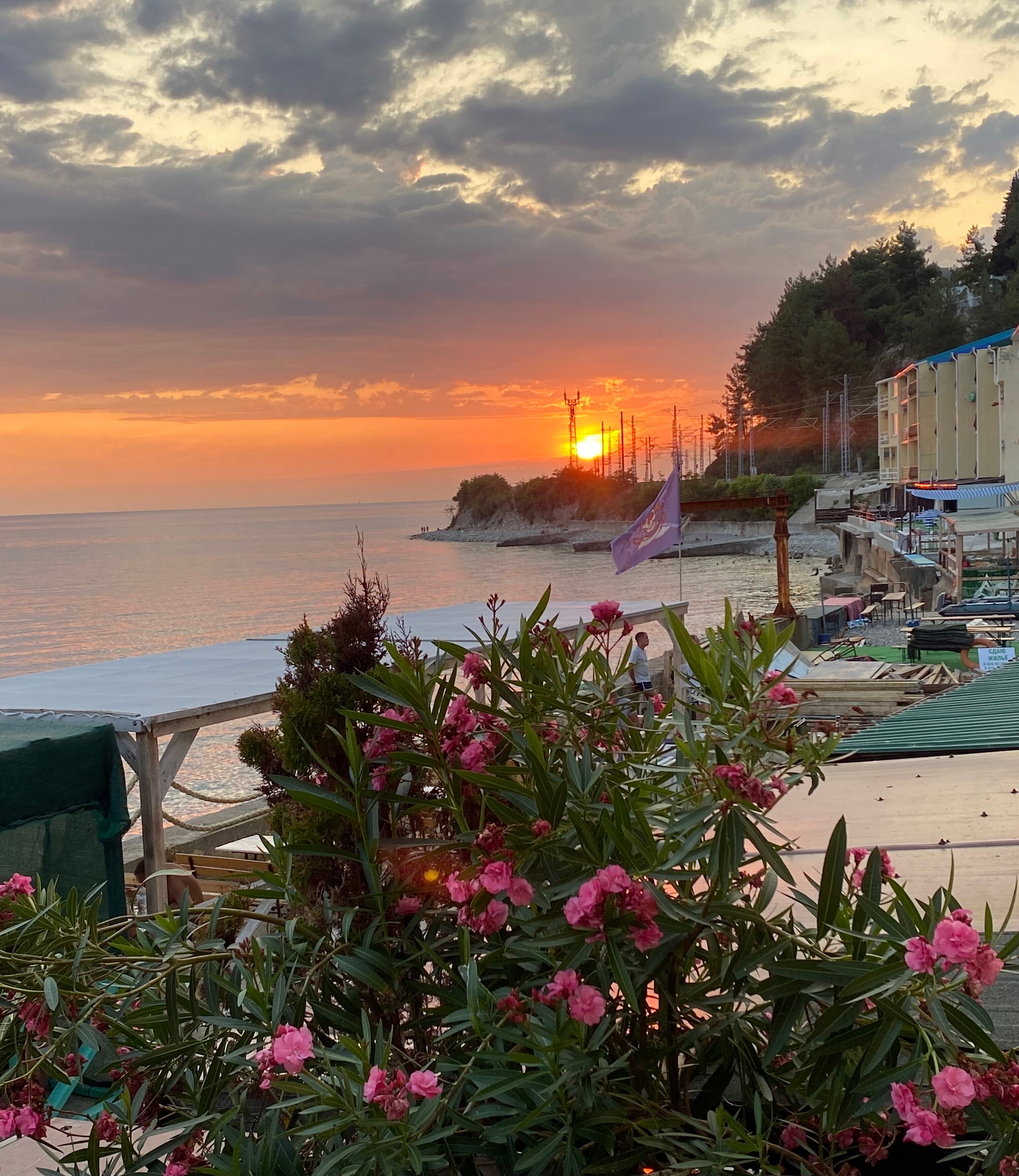 Фото Эллинг Валенсия 75