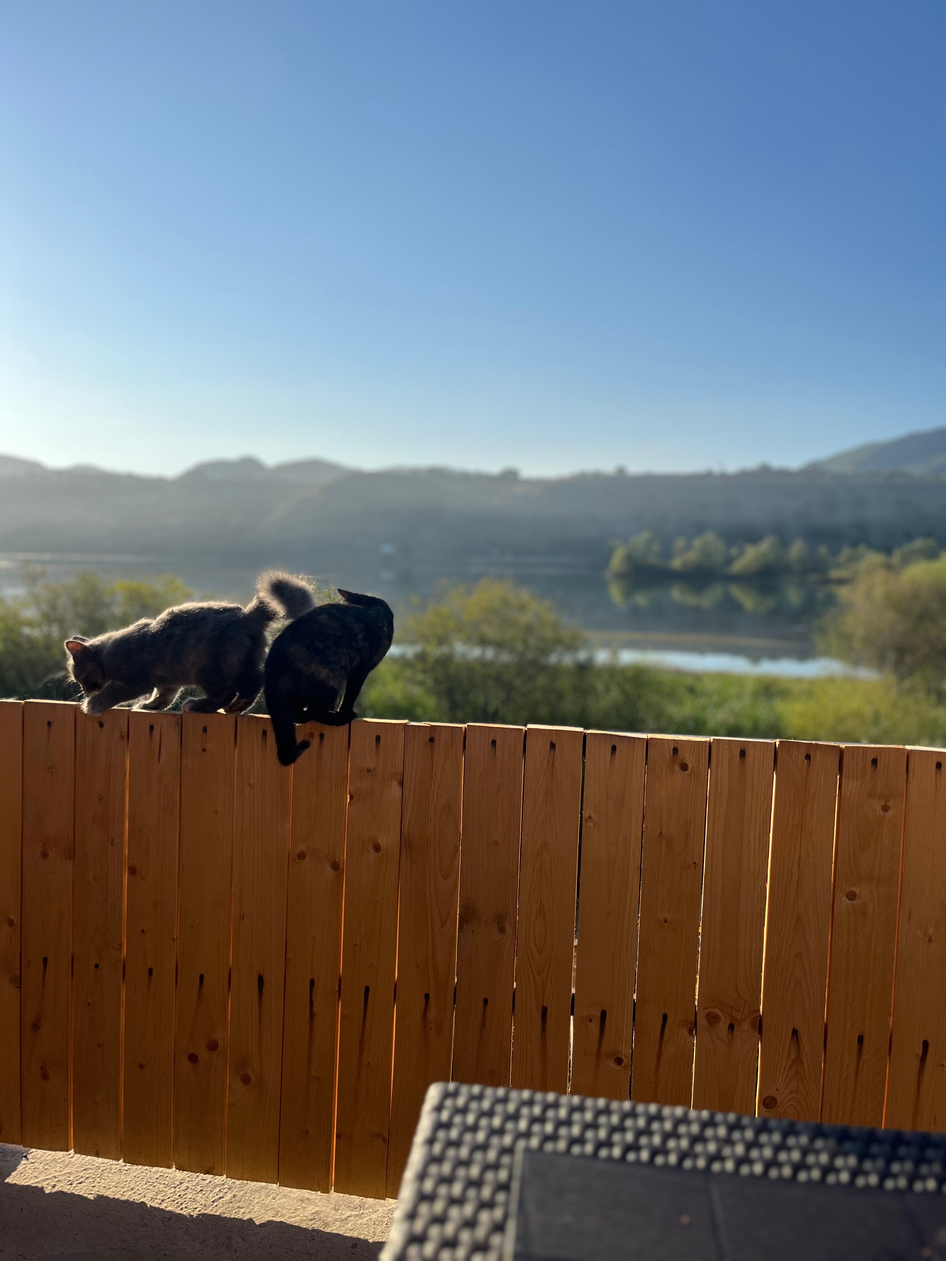 Фото Жемчужина Сулака