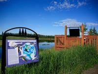 Фото Wedgewood Resort