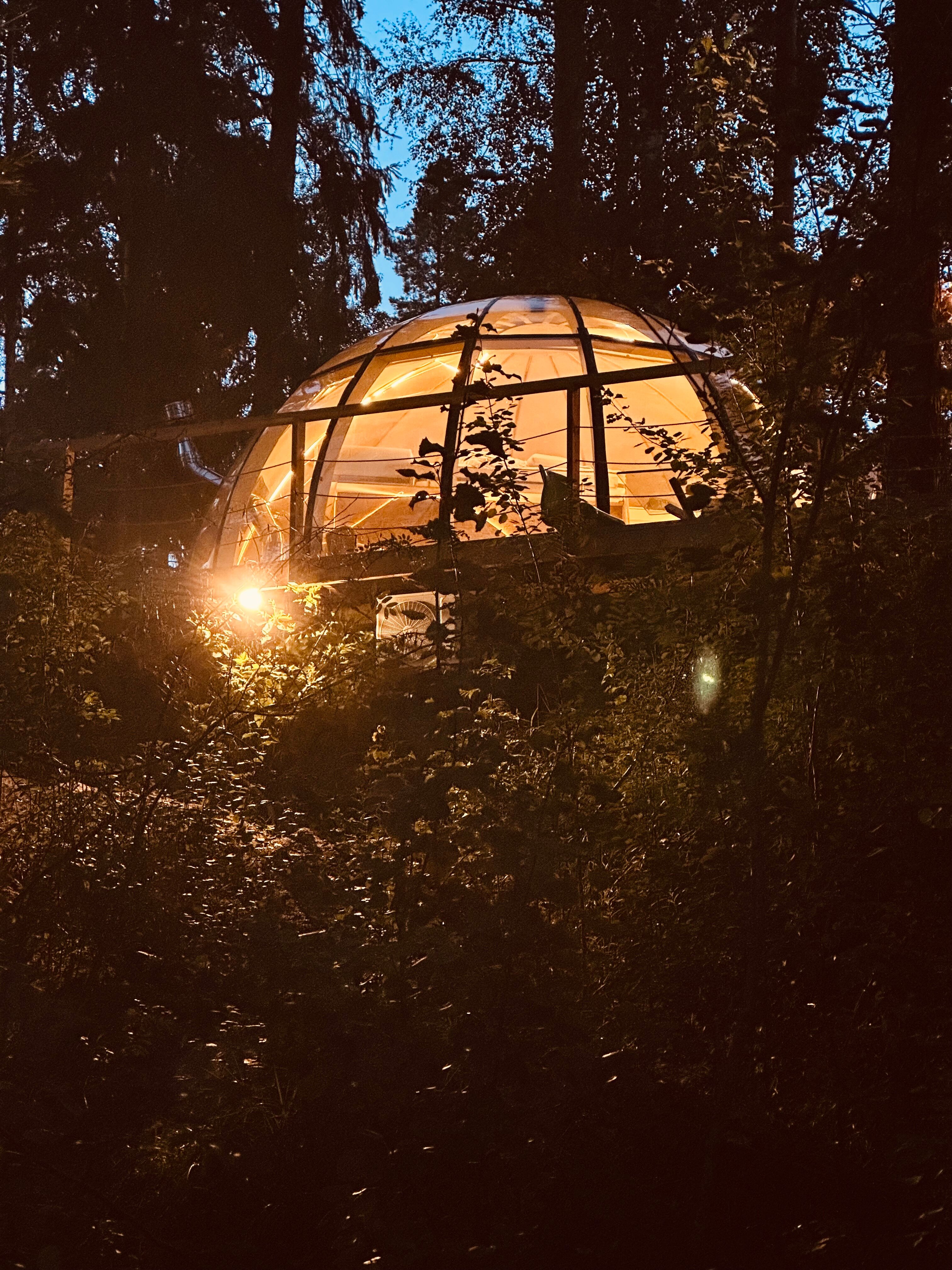 Фото Тихая долина