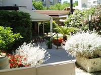 Фото Hotel Cervantes