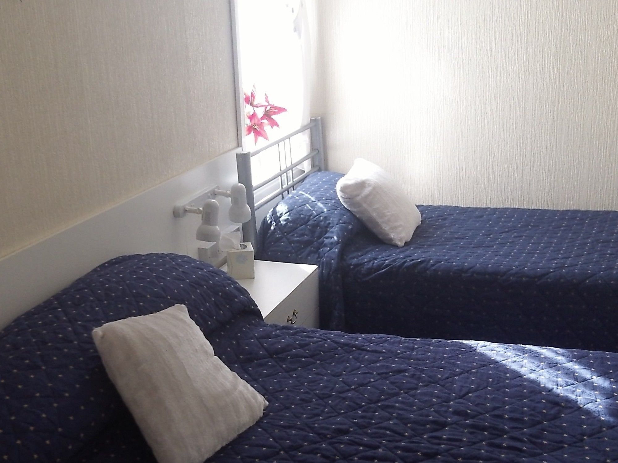 Фото Ivydene Guest House