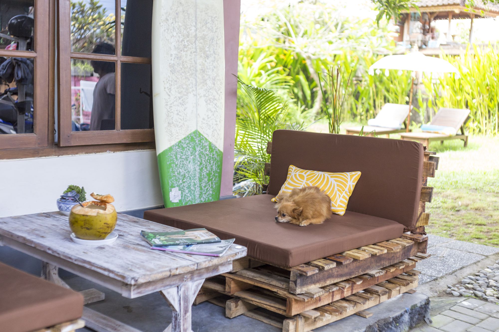 Фото Surfers House