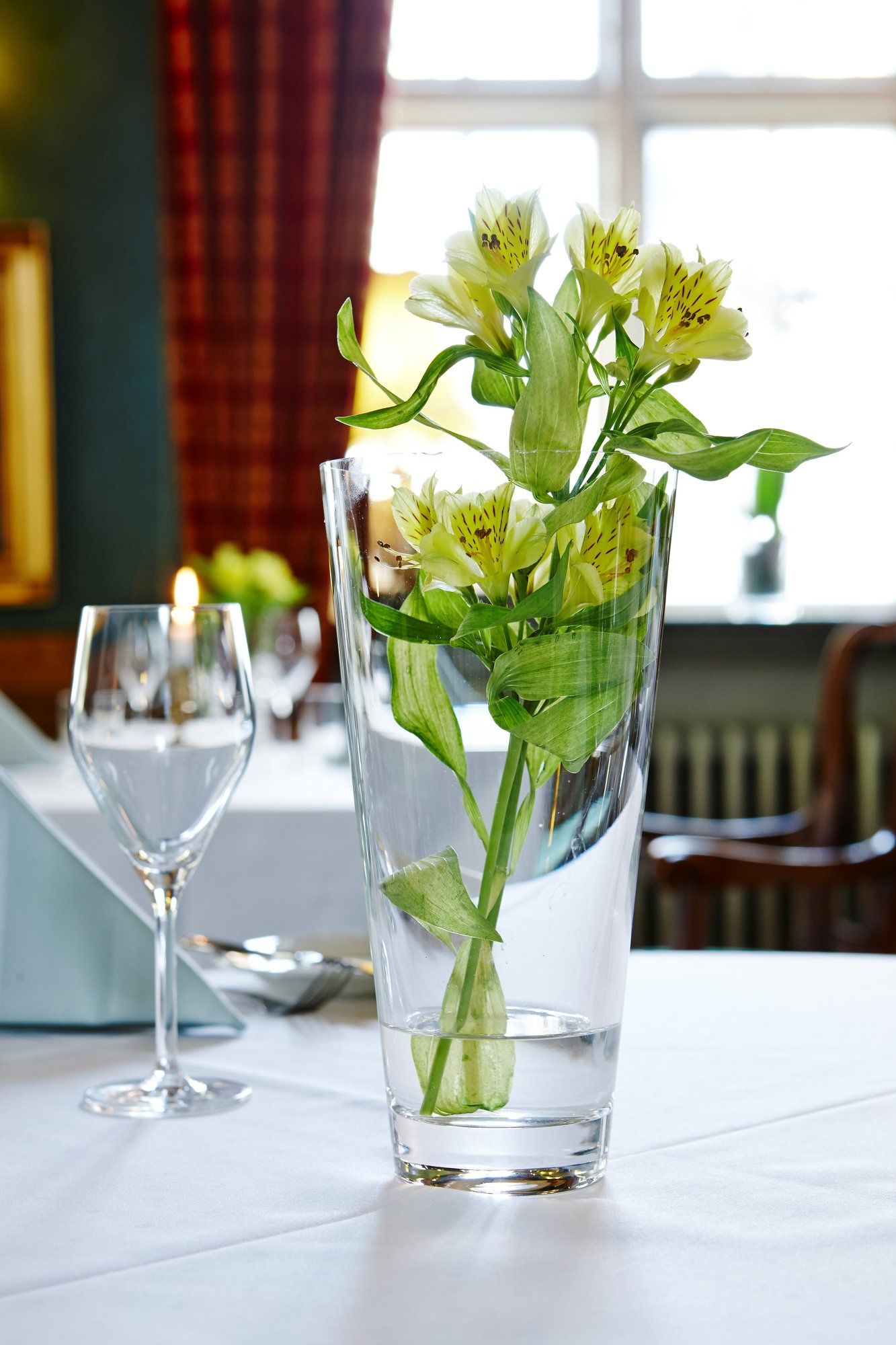 Фото Hotel Dagmar