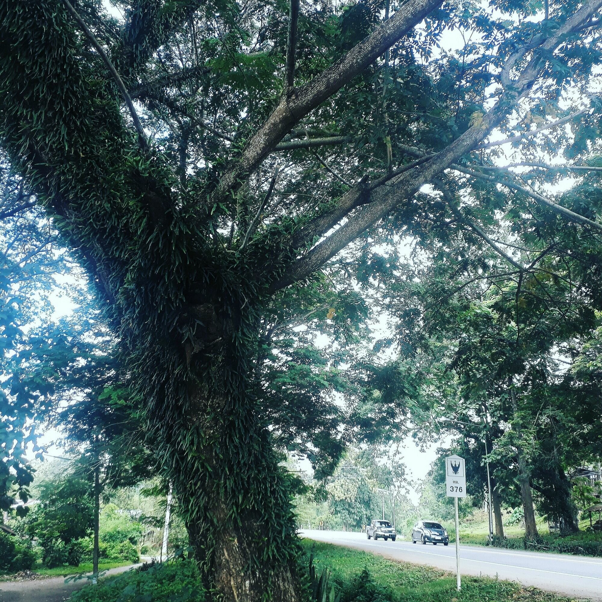 Фото Ui Bai Valley