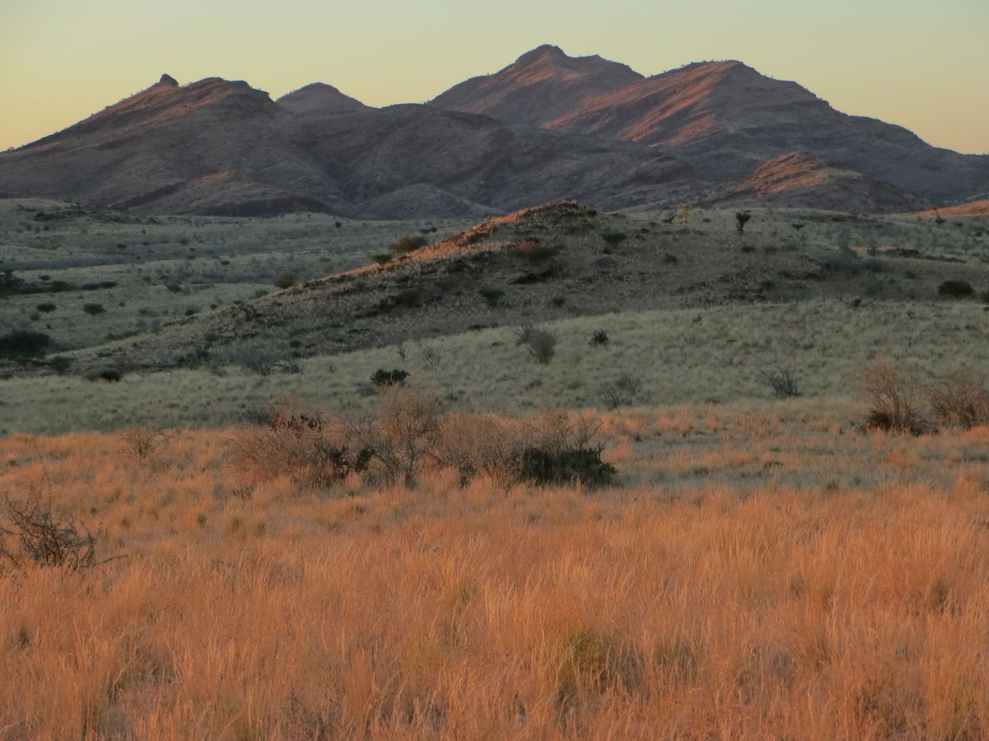 Фото Corona Guest Farm