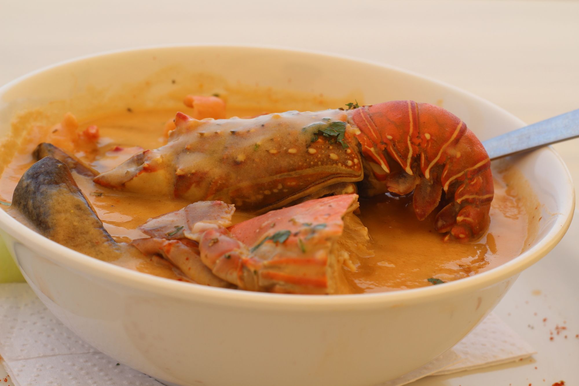 Фото Hotel Los Farallones