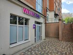 Wildberries (Dostoyevskogo Street, 52А), point of delivery