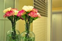 Фото Lyton House