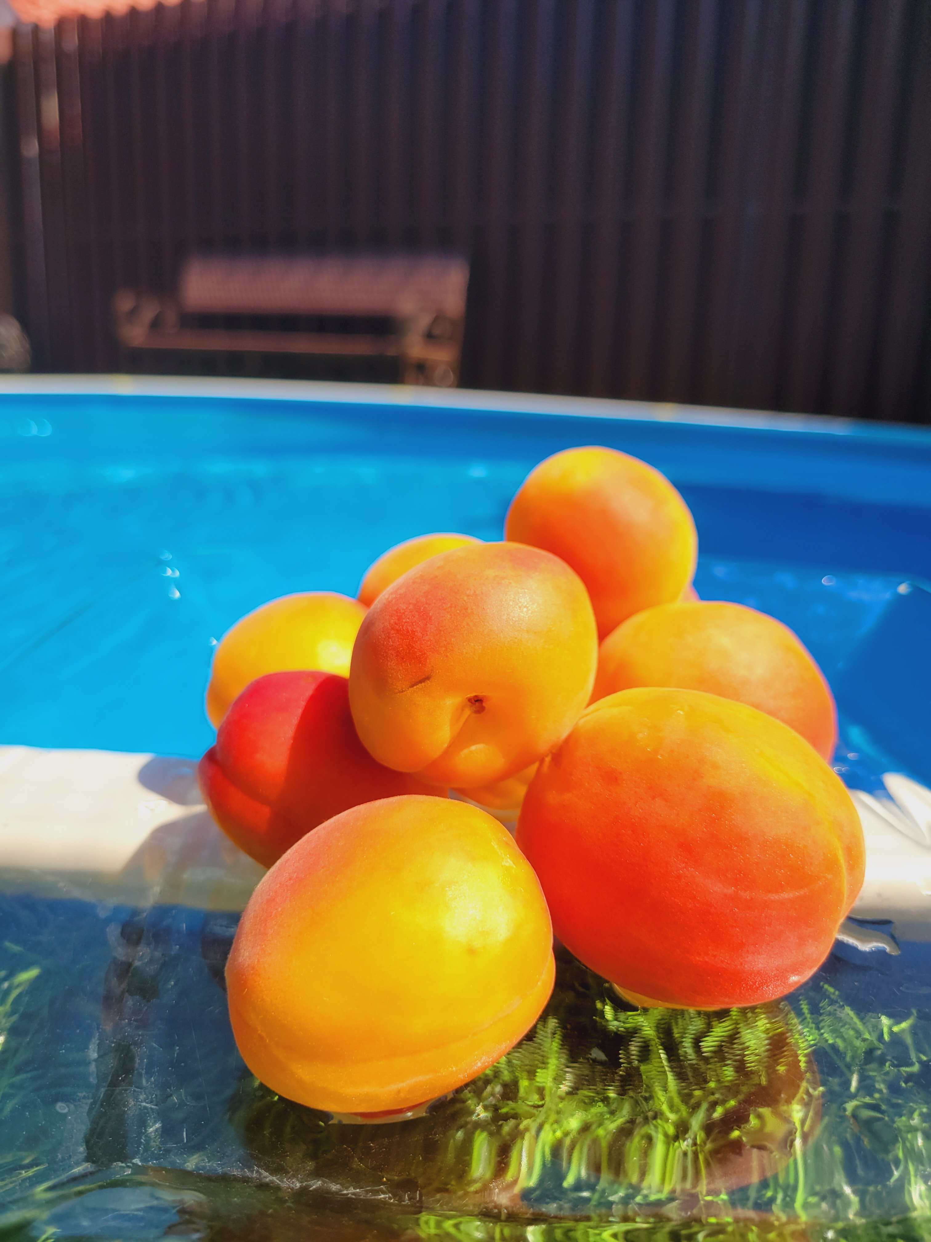 Фото Summeryeysk