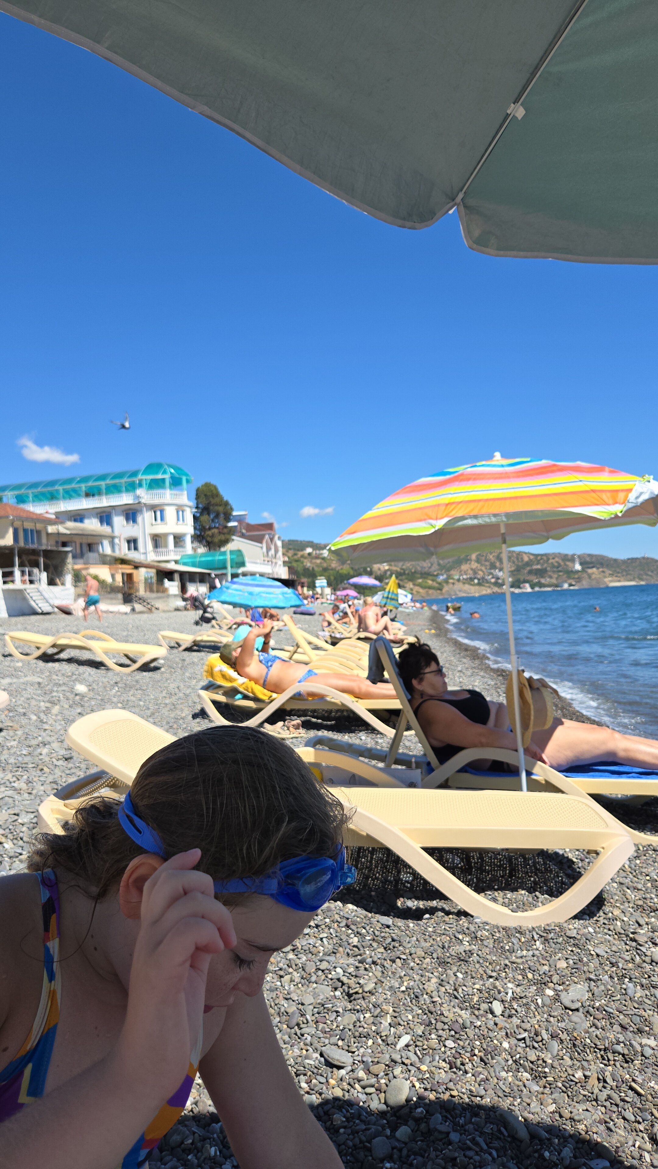 Фото Видовой