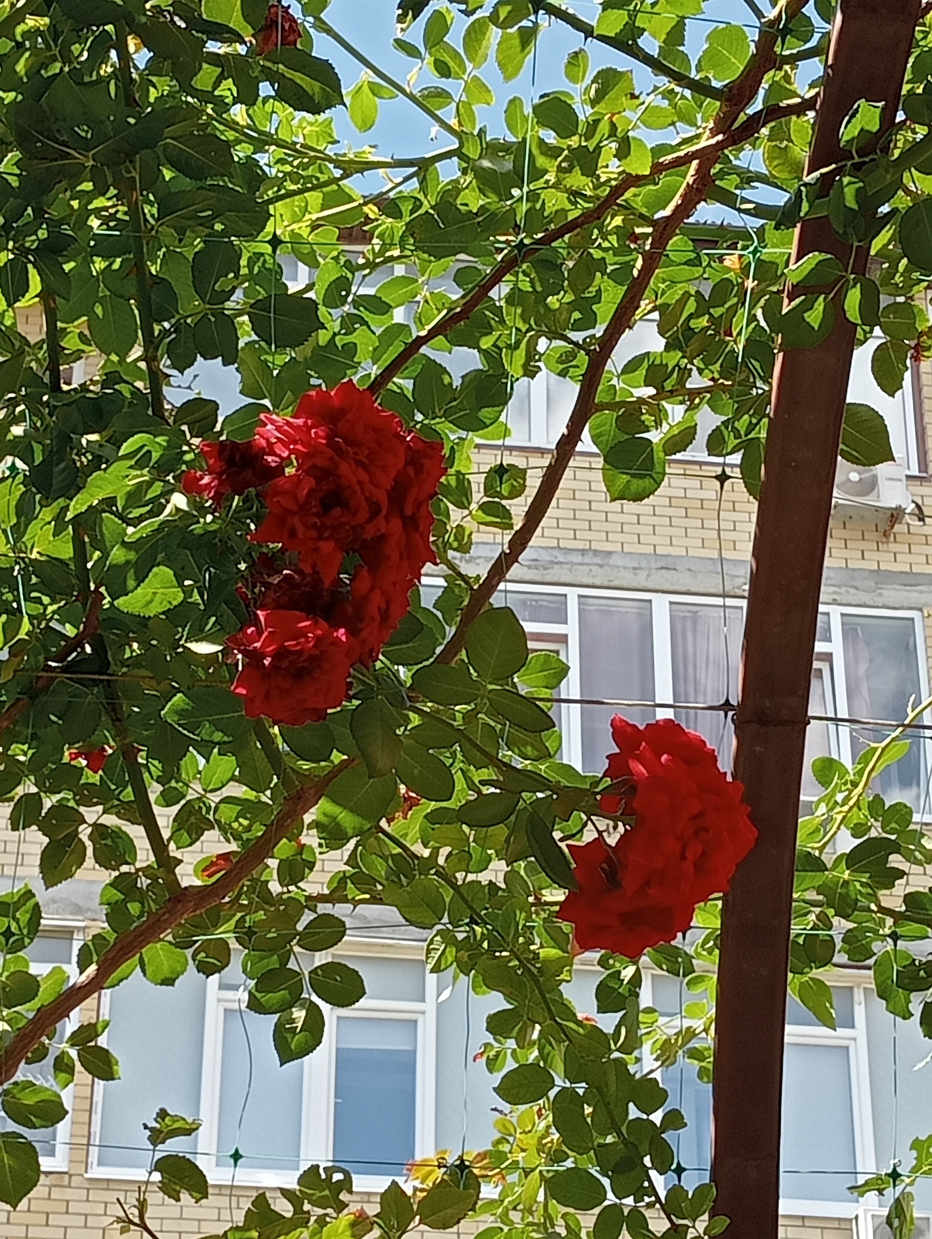 Фото 5 Причин