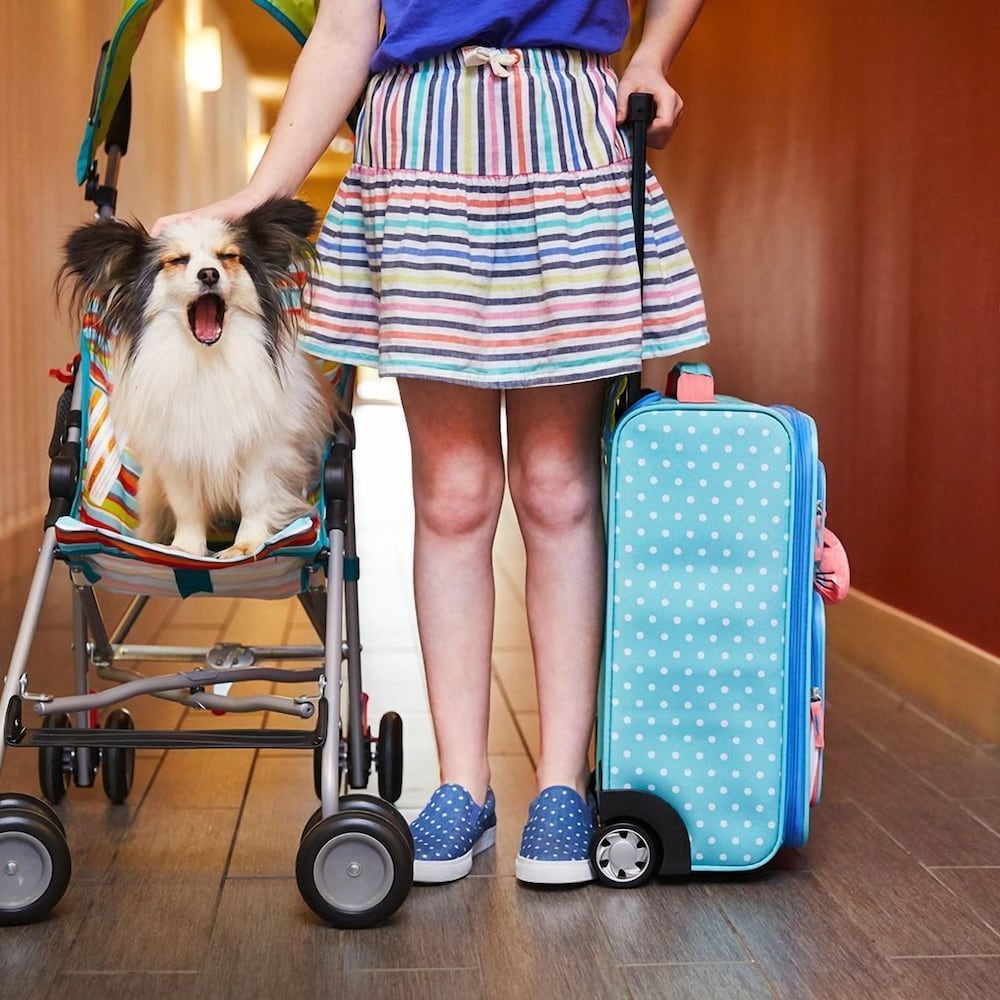 Фото Home2 Suites by Hilton Rosenberg/Sugar Land Area