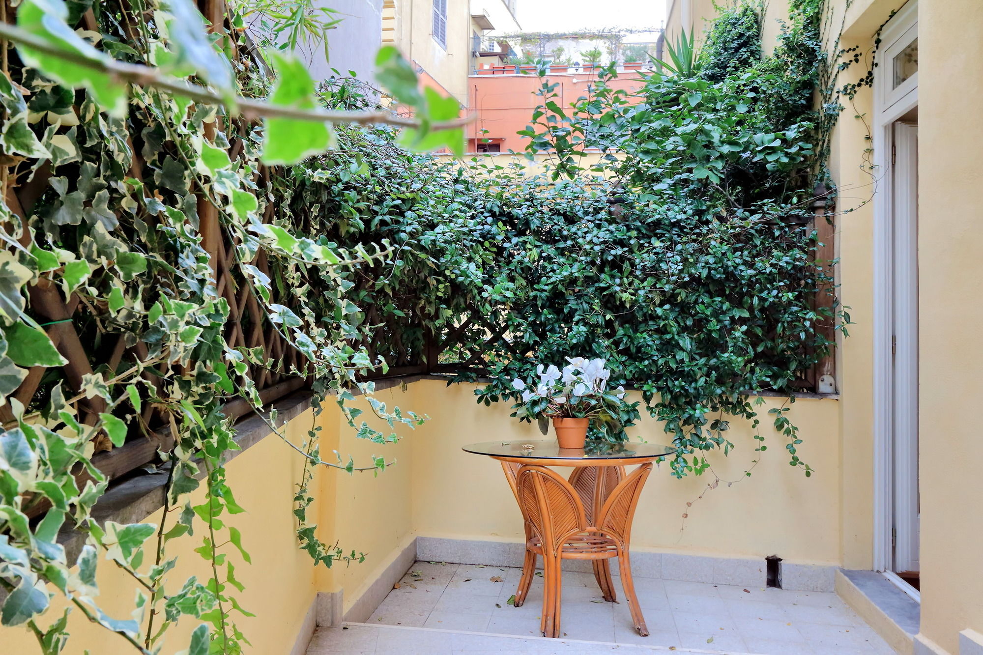 Фото CancelleriaDieci