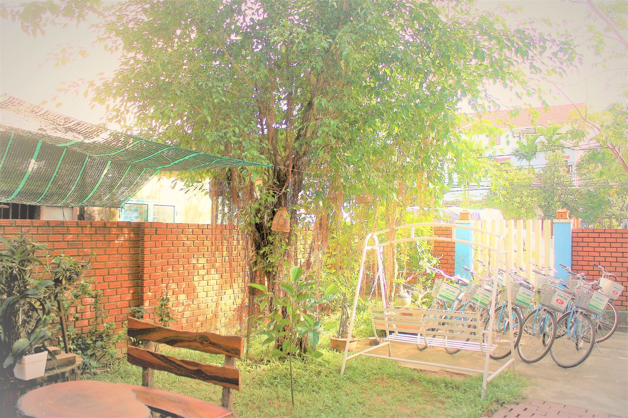 Фото Green Bud Homestay