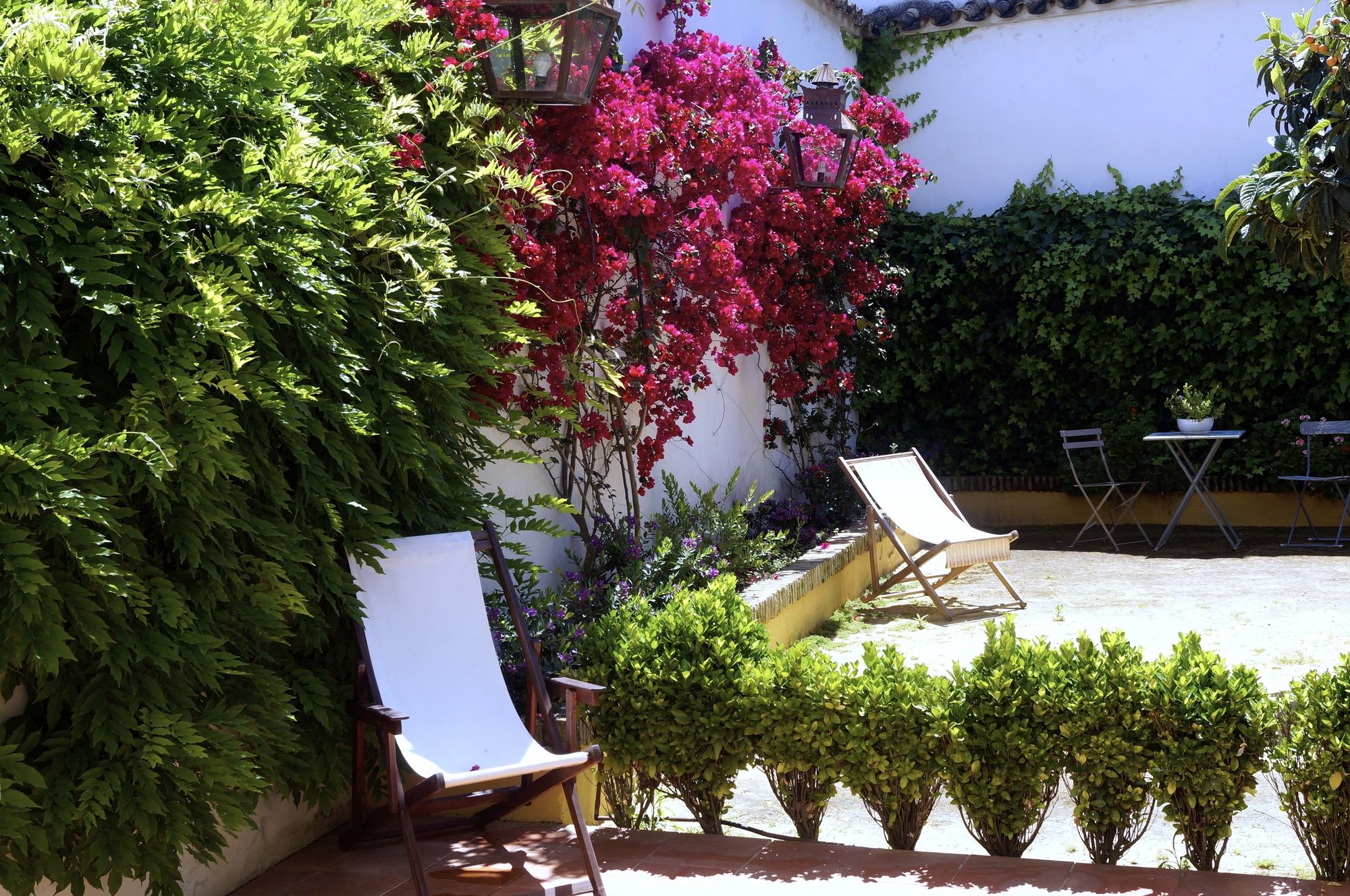 Фото Apartamentos Los Patios de la Judería