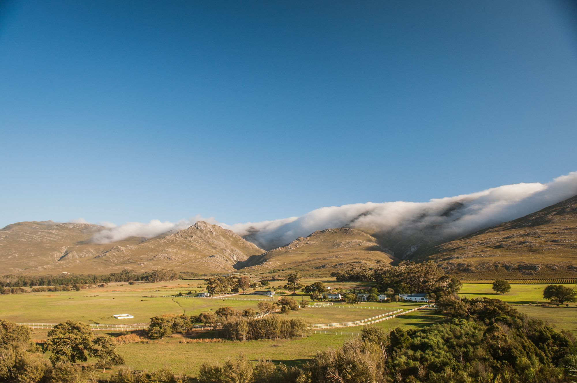 Фото White Water Farm