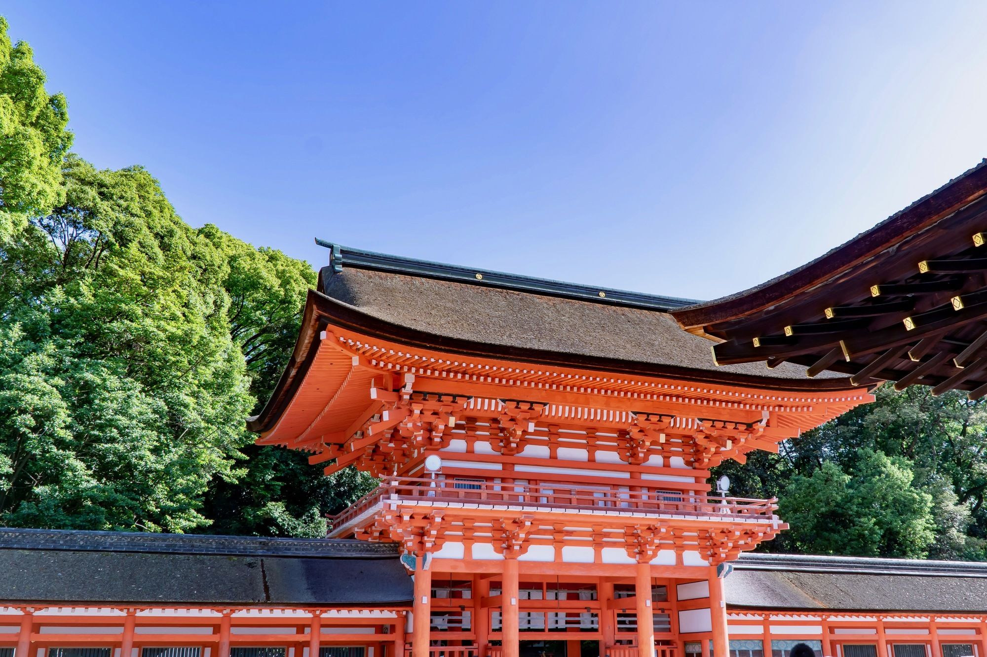 Фото WeBase Kyoto