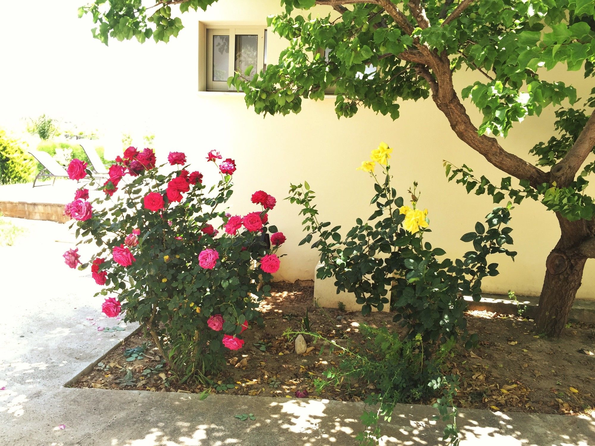 Фото Himonas Apartments