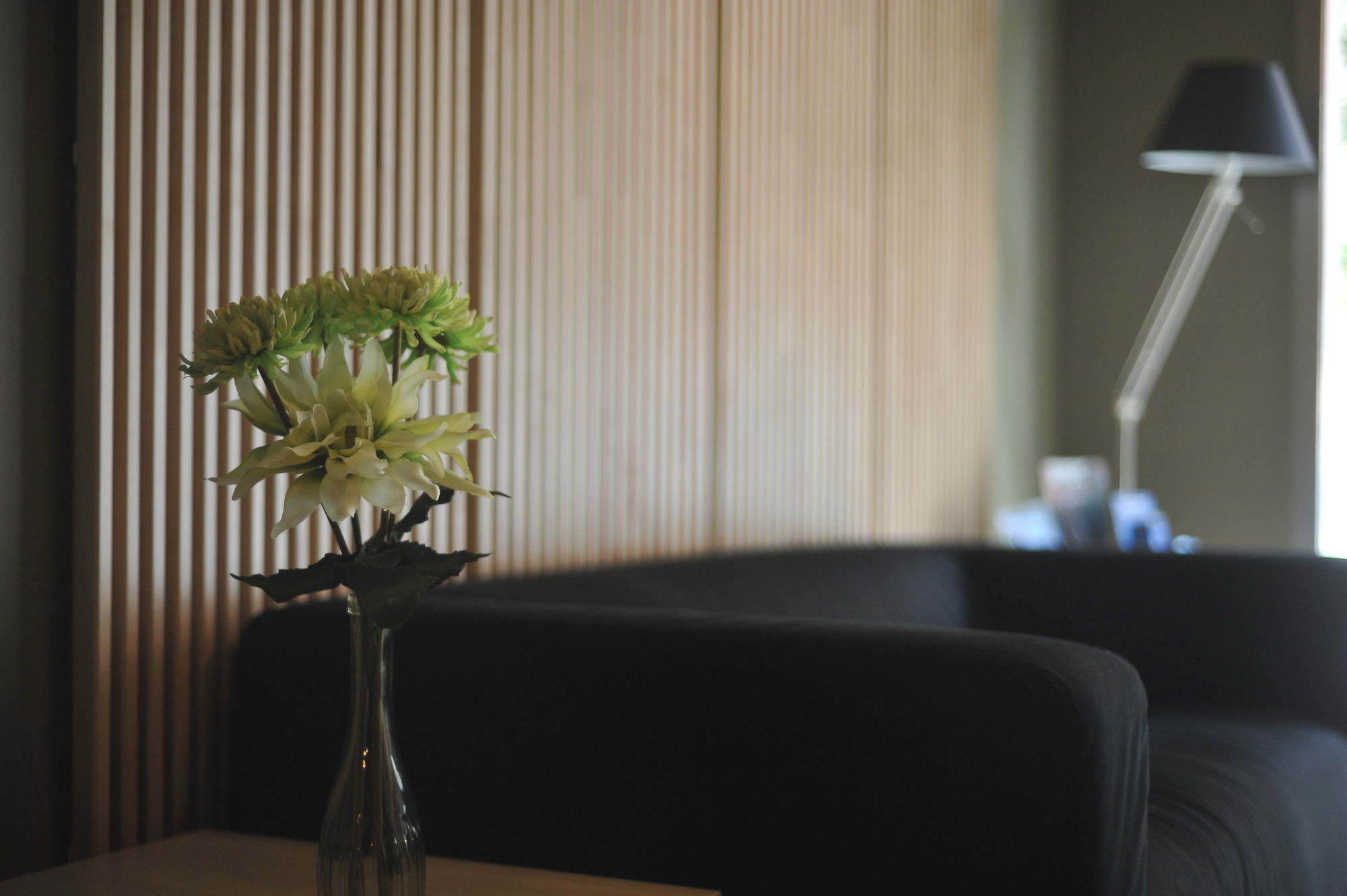 Фото Md Modern Hotel - Jardines