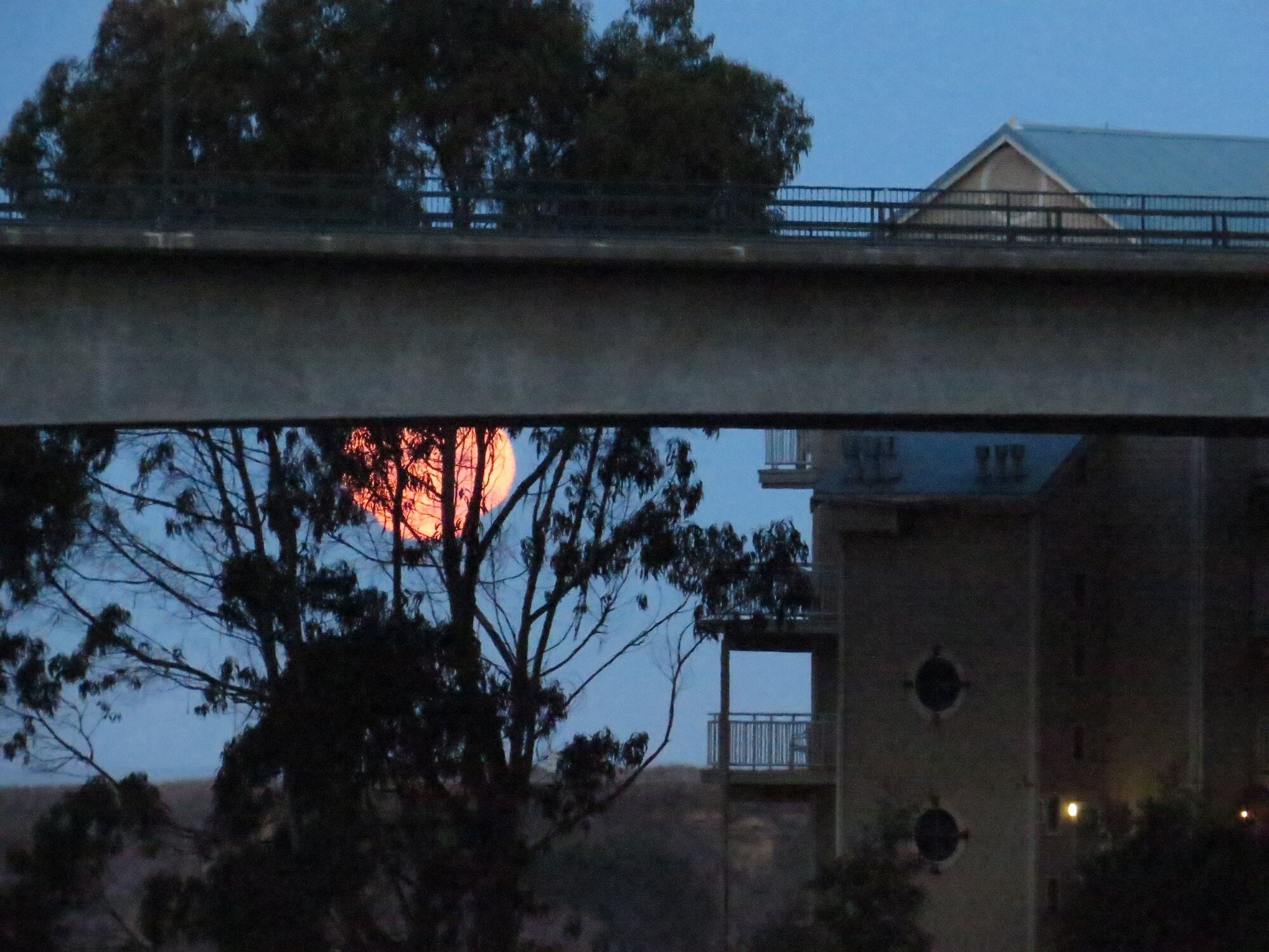 Фото North Cliff Hotel