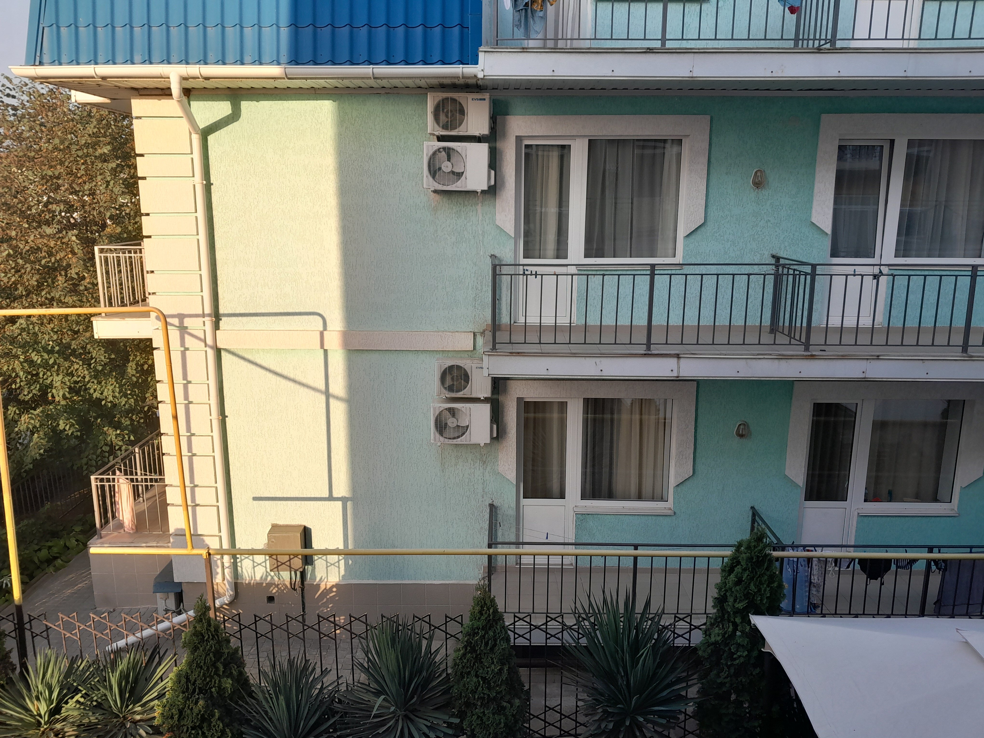 Фото Аврора