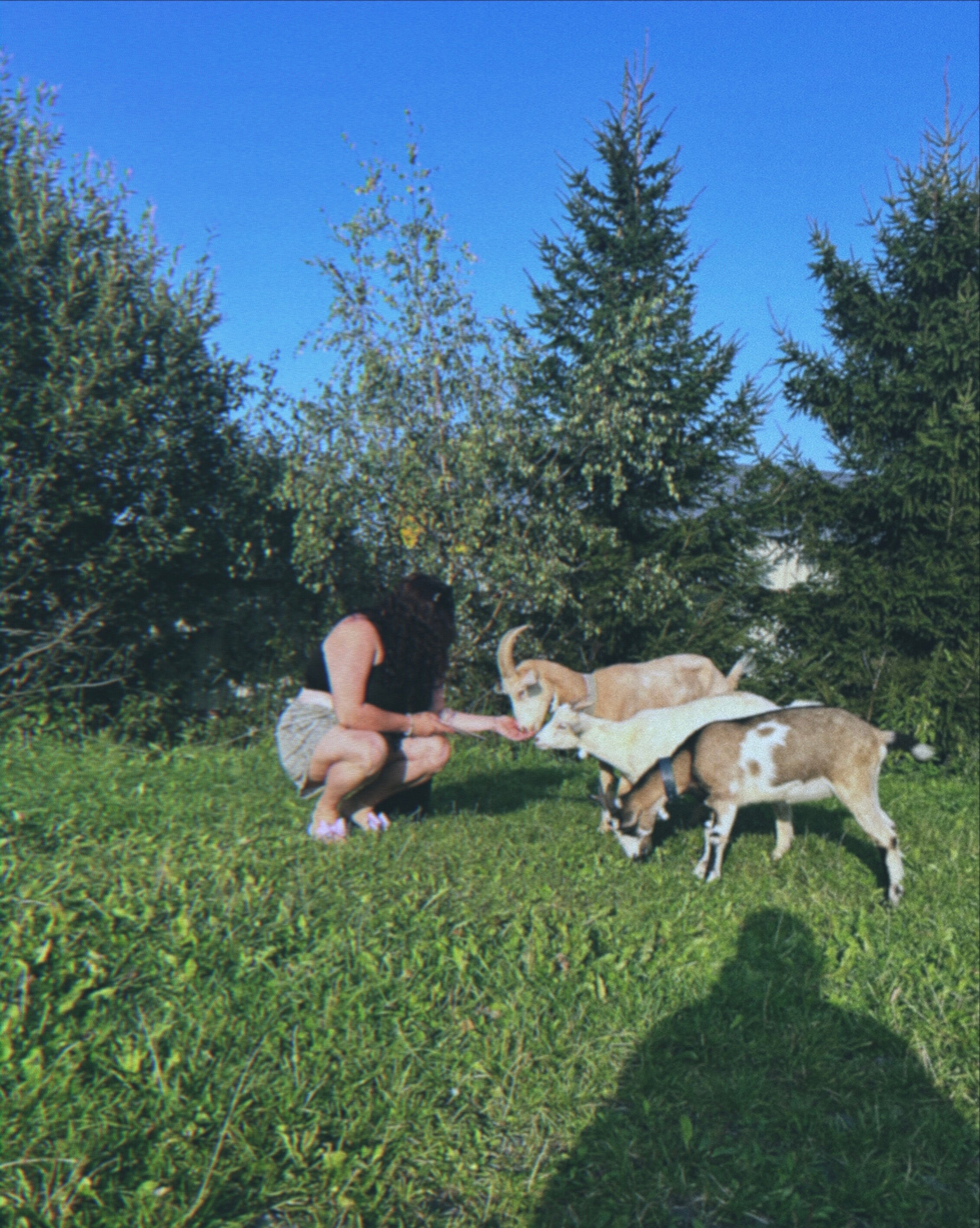 Фото Ладожский причал