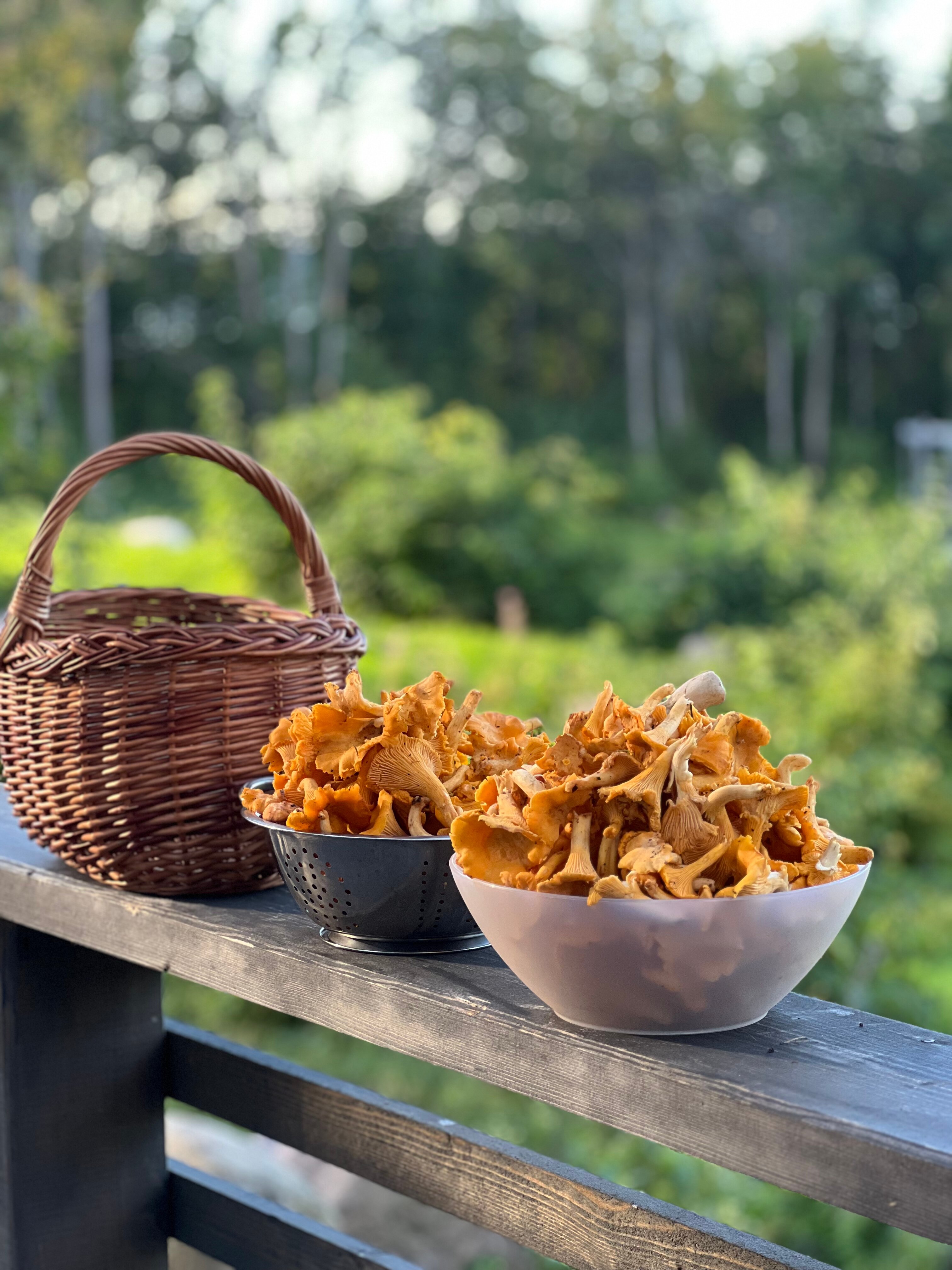 Фото Belka Village