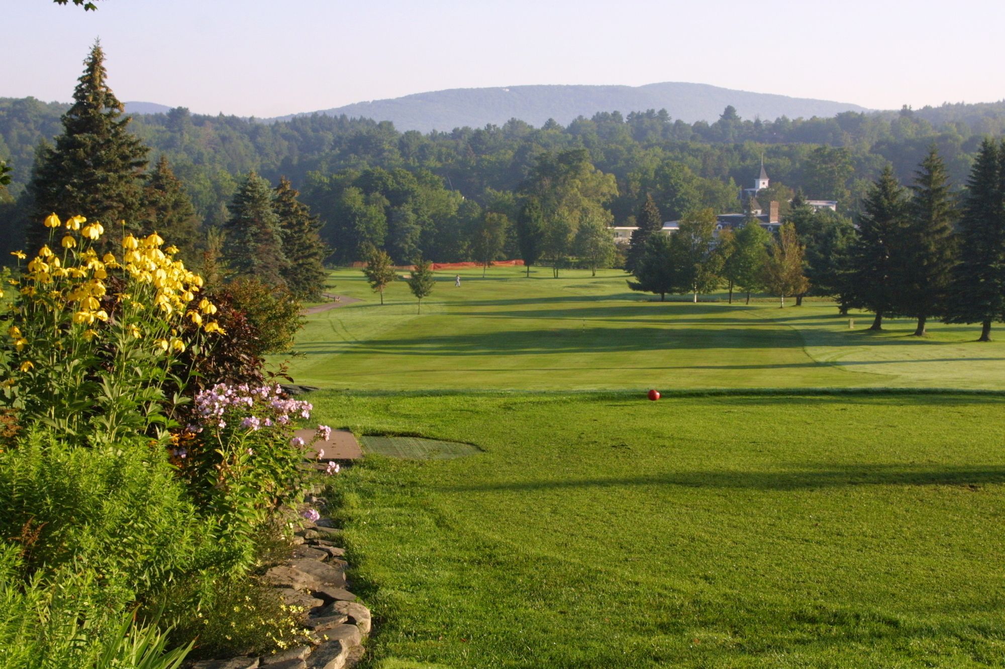 Фото Hotel Vienna