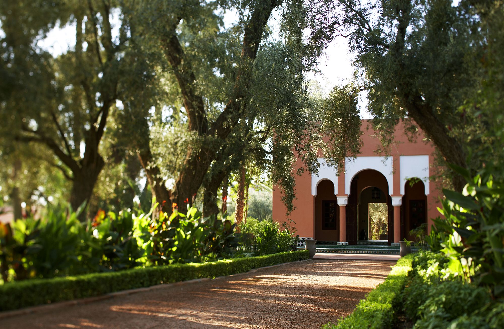 Фото La Mamounia