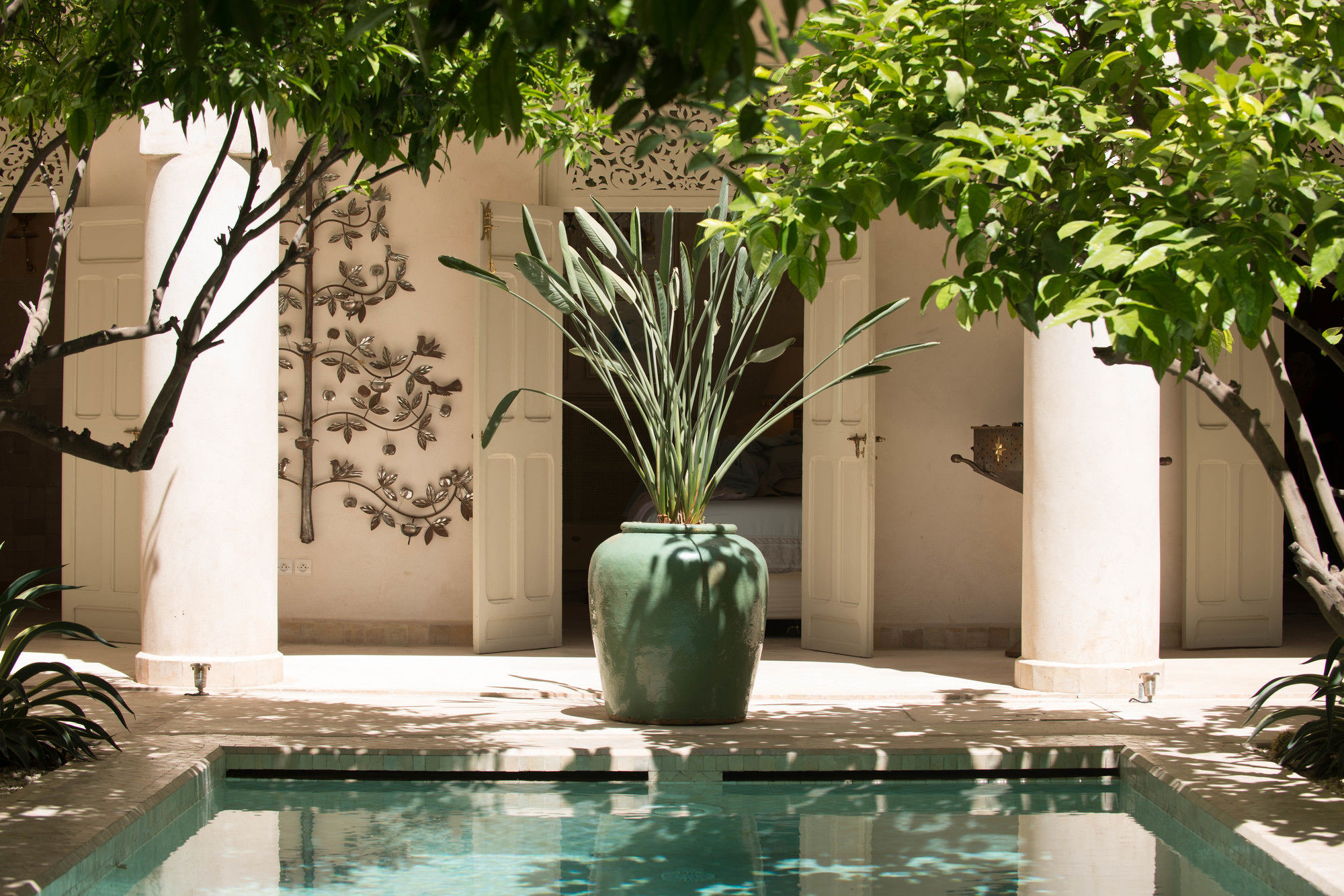 Фото Riad Emberiza Sahari