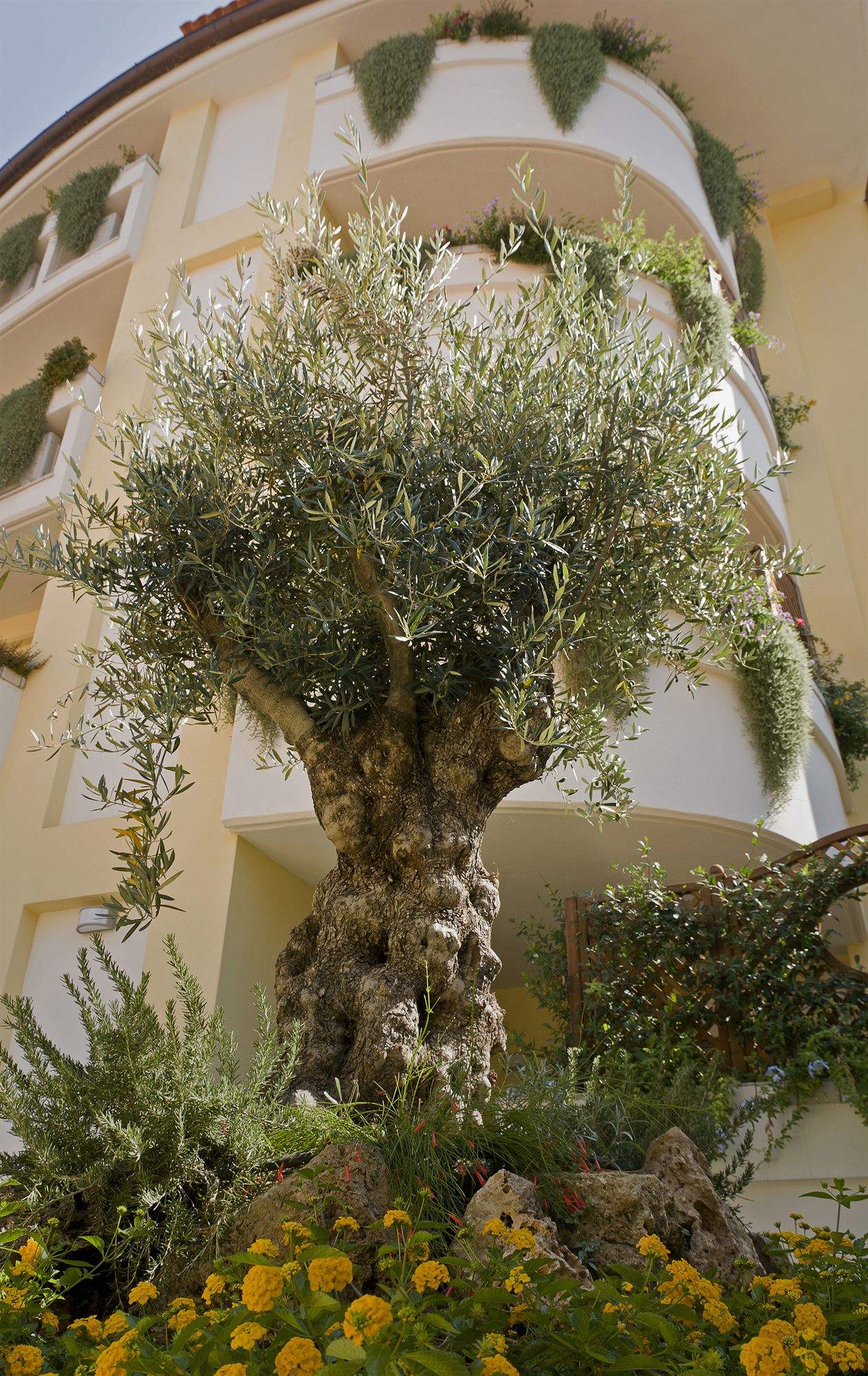 Фото Patrizia Romana Palace