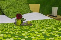 Фото The Rainbow B&b