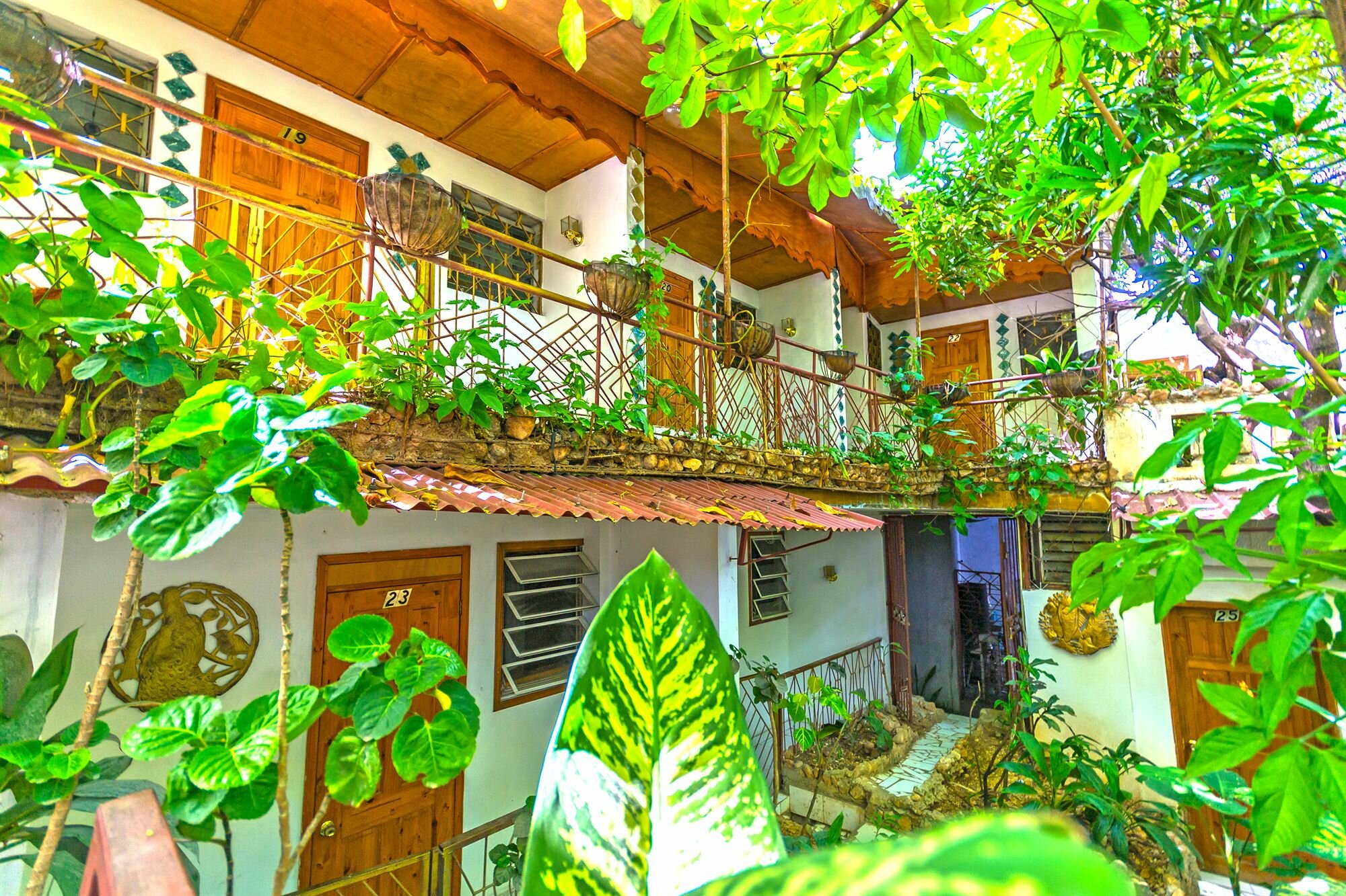 Фото Pacot Breeze