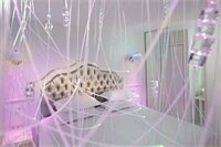 Фото Le Petit Beaumarchais Hotel & SPA