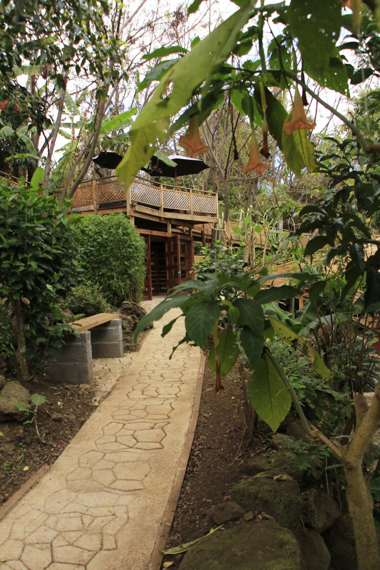 Фото Easter Island Eco Lodge