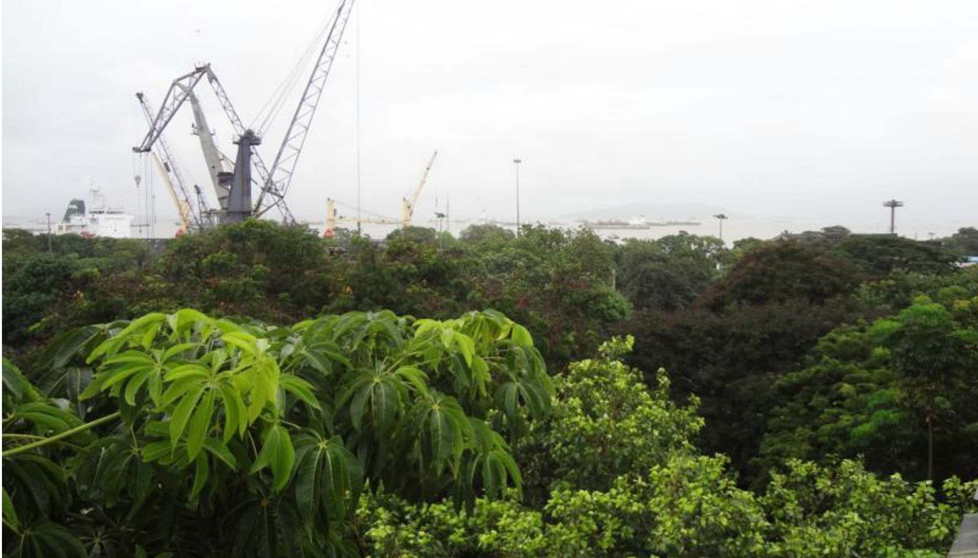 Фото Grand Hotel