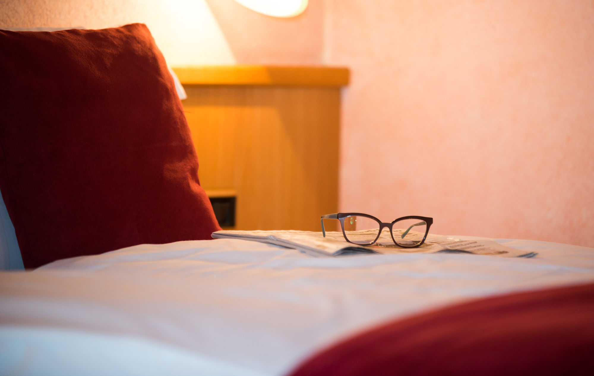 Фото Hotel Francesin