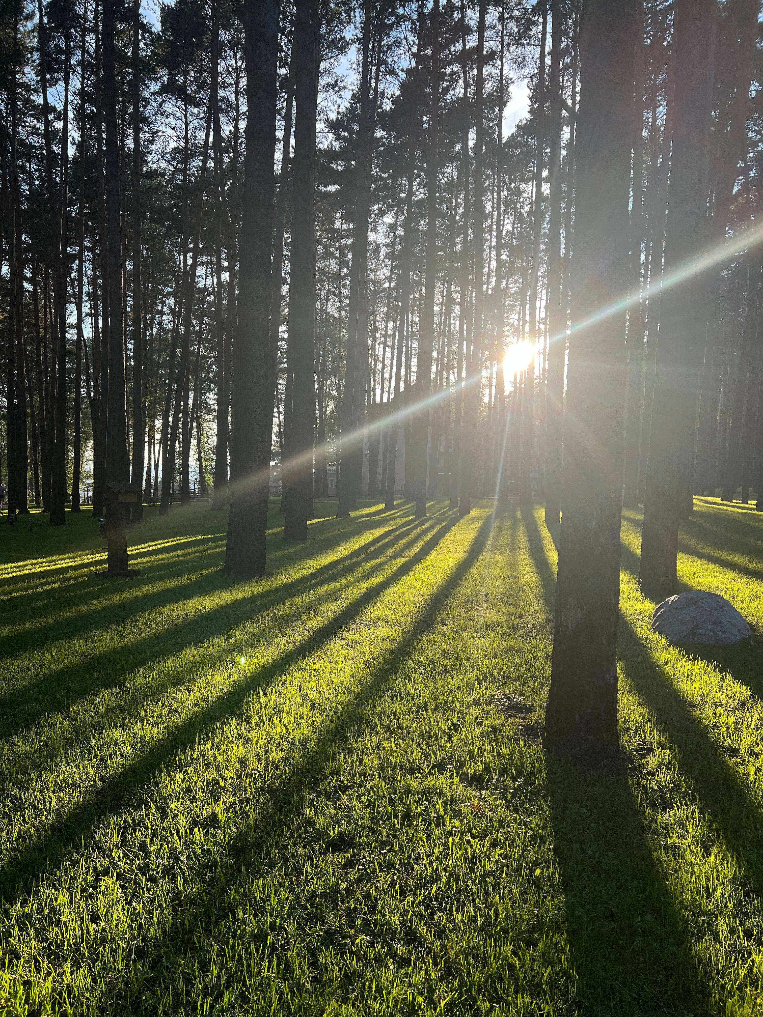 Фото Лукоморье