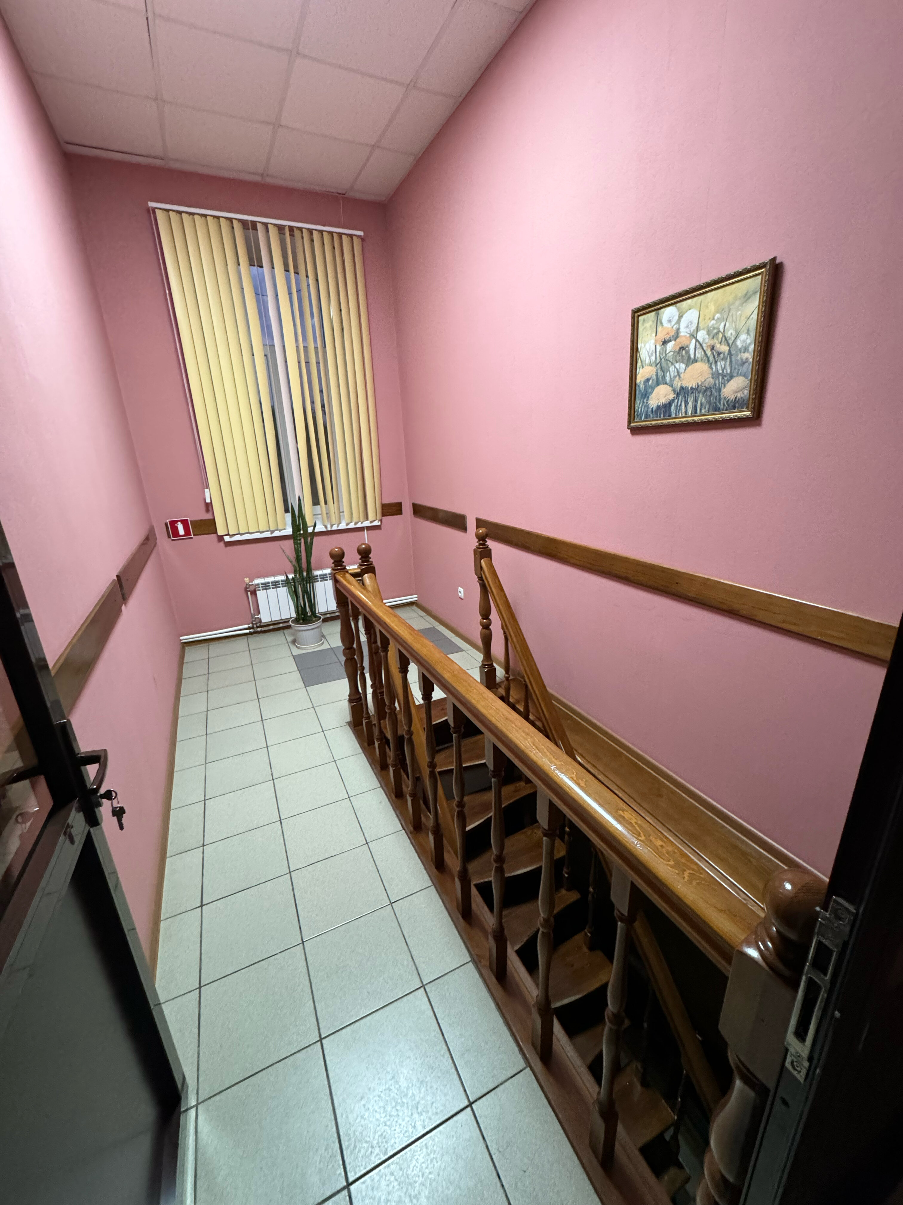 Фото Парадиз