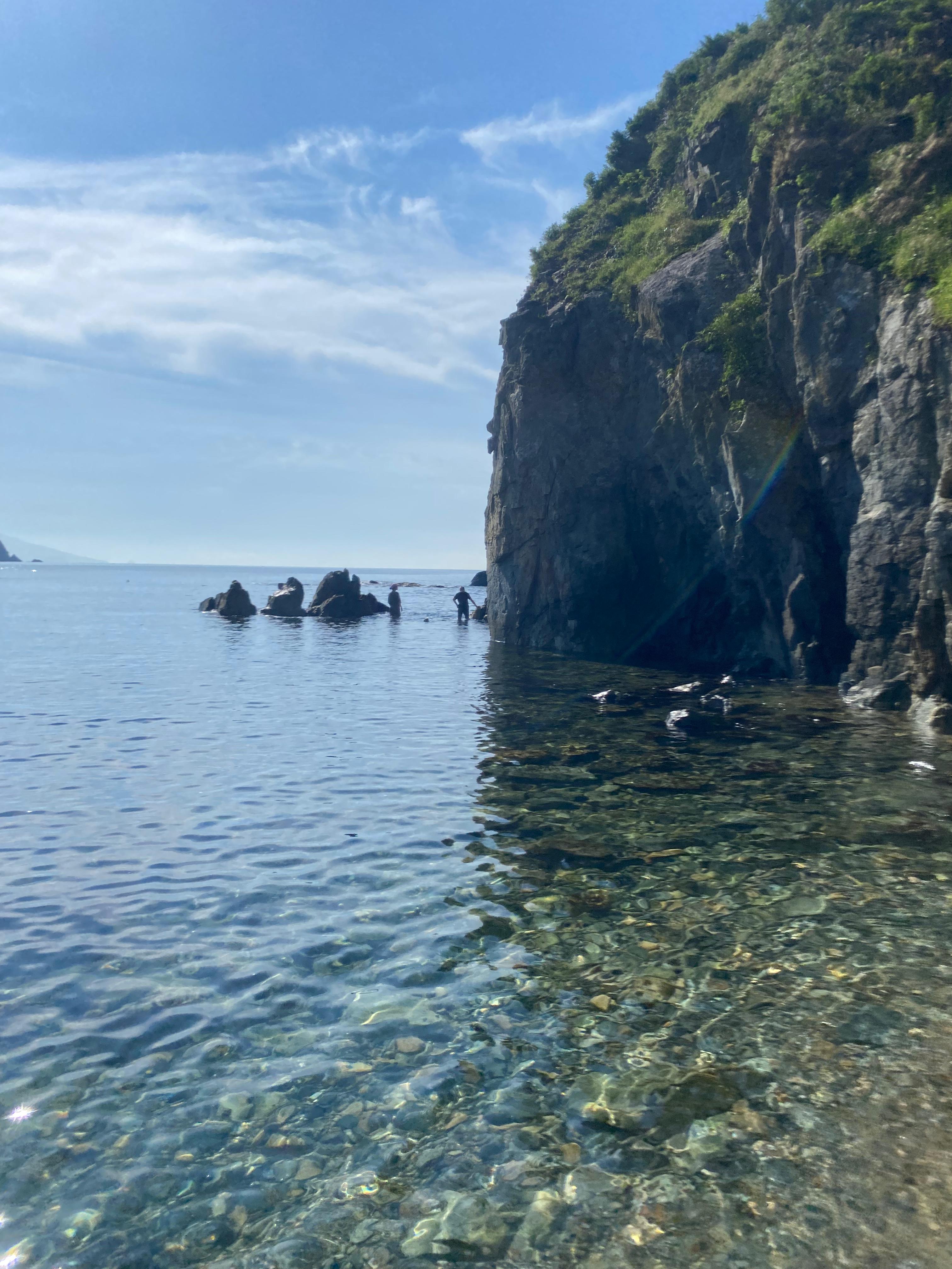 Фото Зелёная полянка