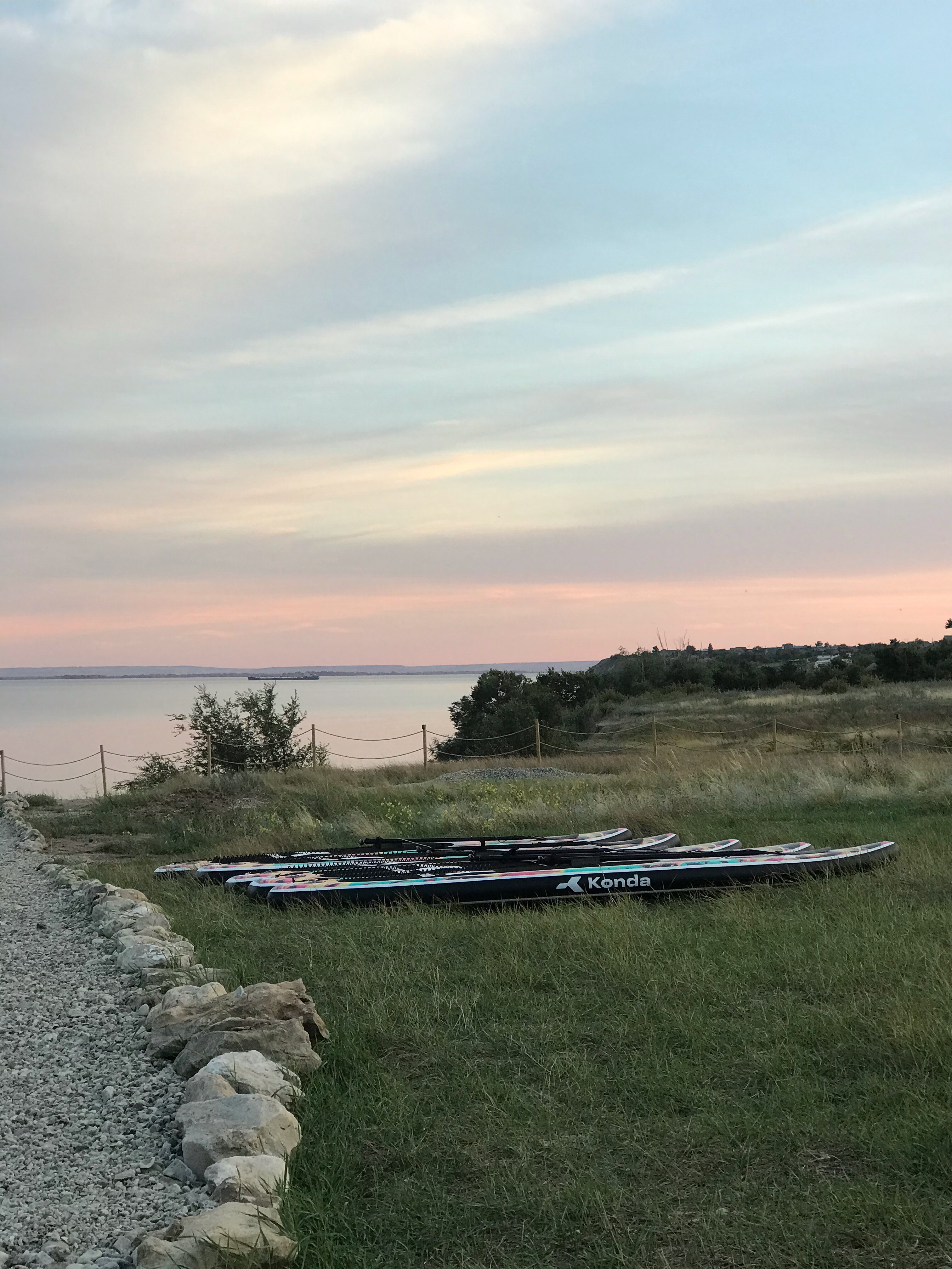 Фото Полынь