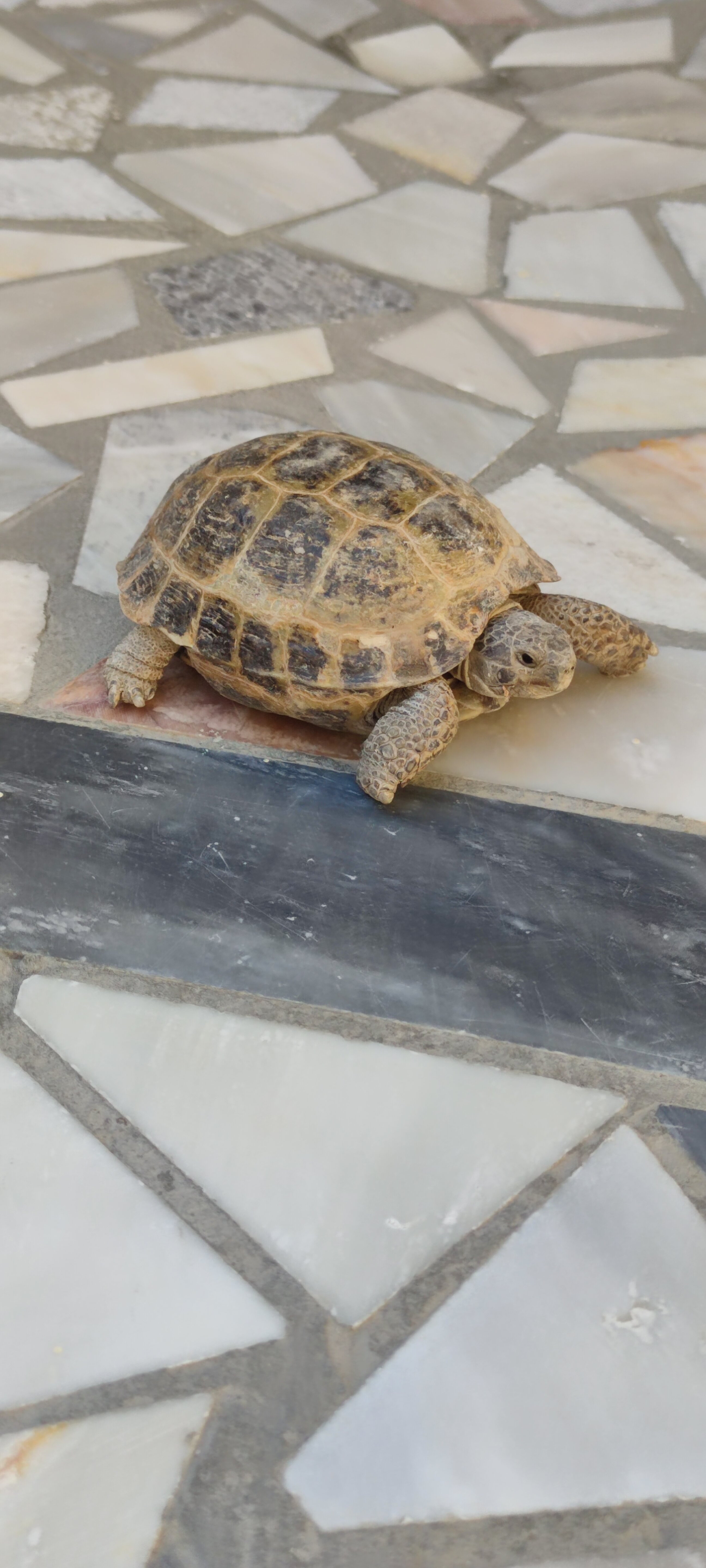 Фото Old Bukhara