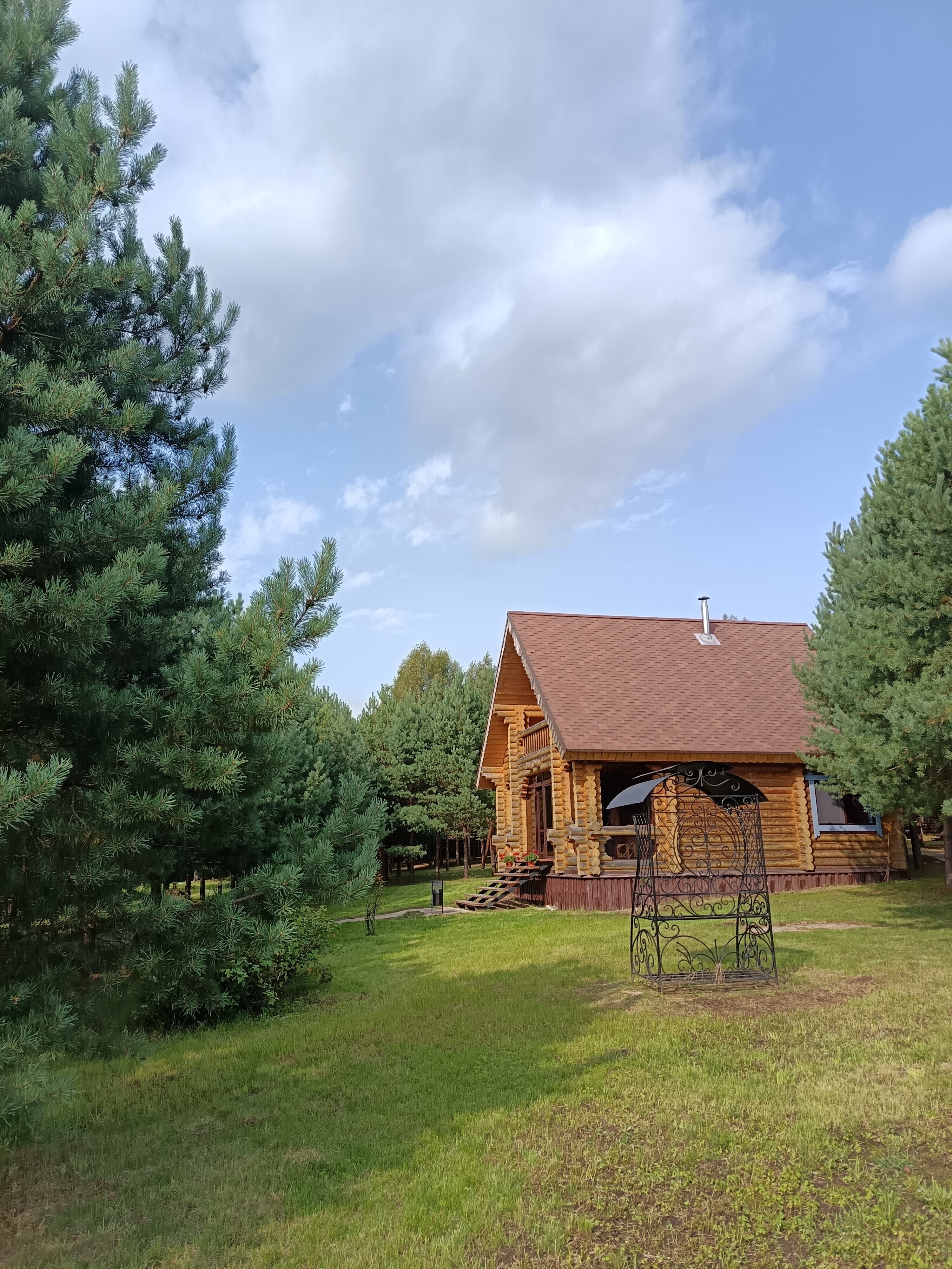 Фото Белая Морошка