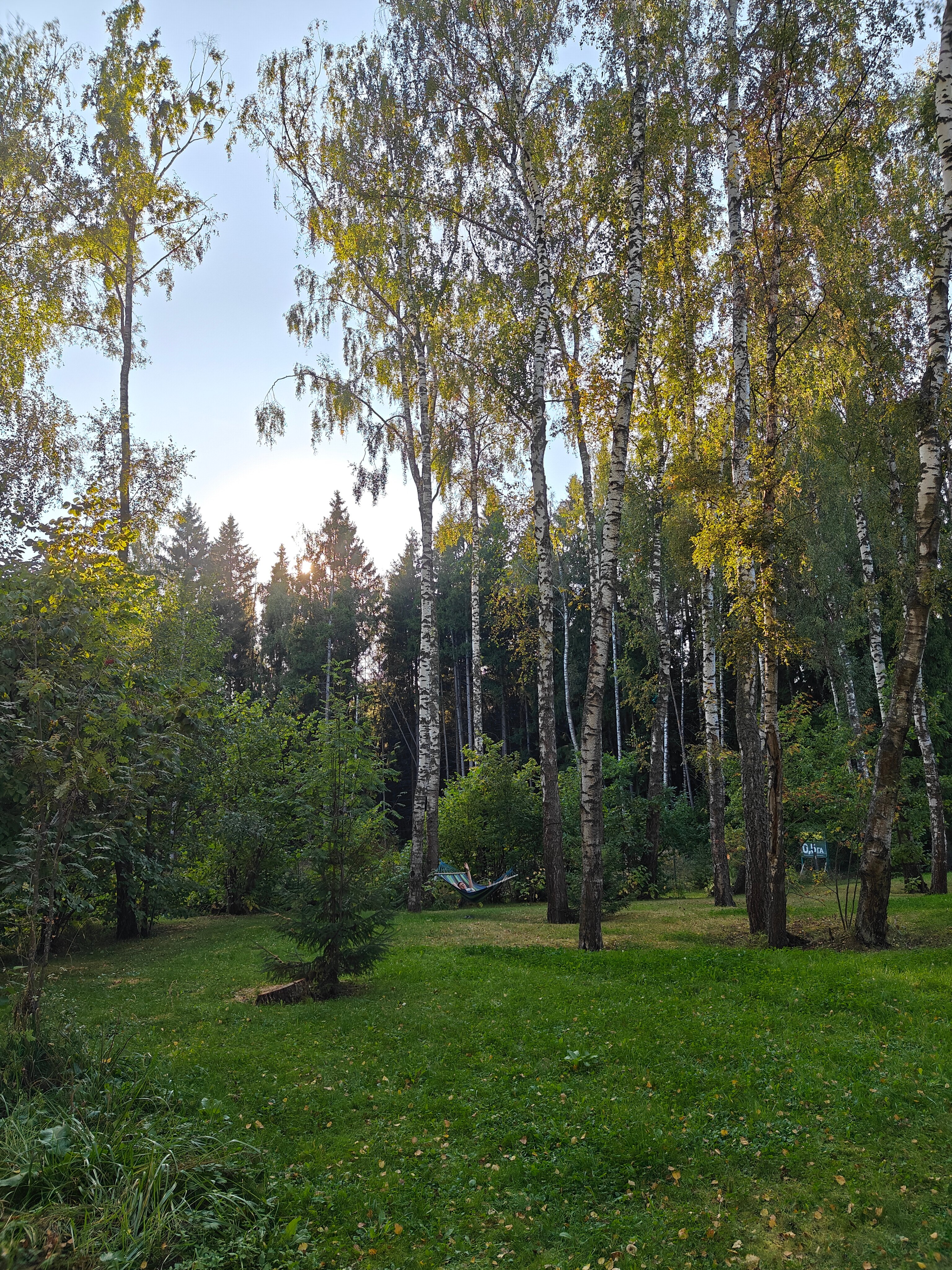 Фото Уютный домик в лесу у пруда